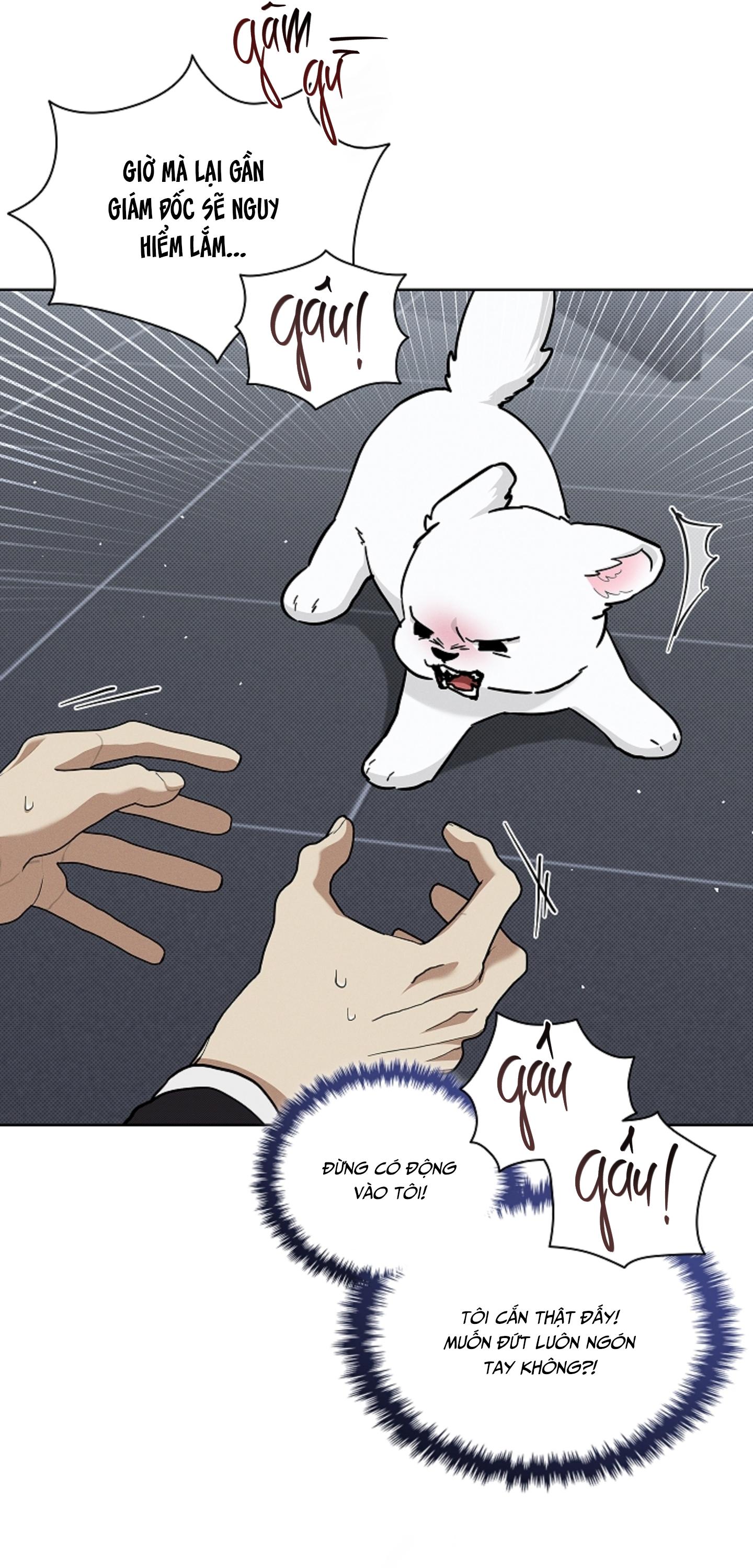 ĐỪNG CHẠM VÀO CÚN CON CỦA TÔI Chapter 40 - Next 