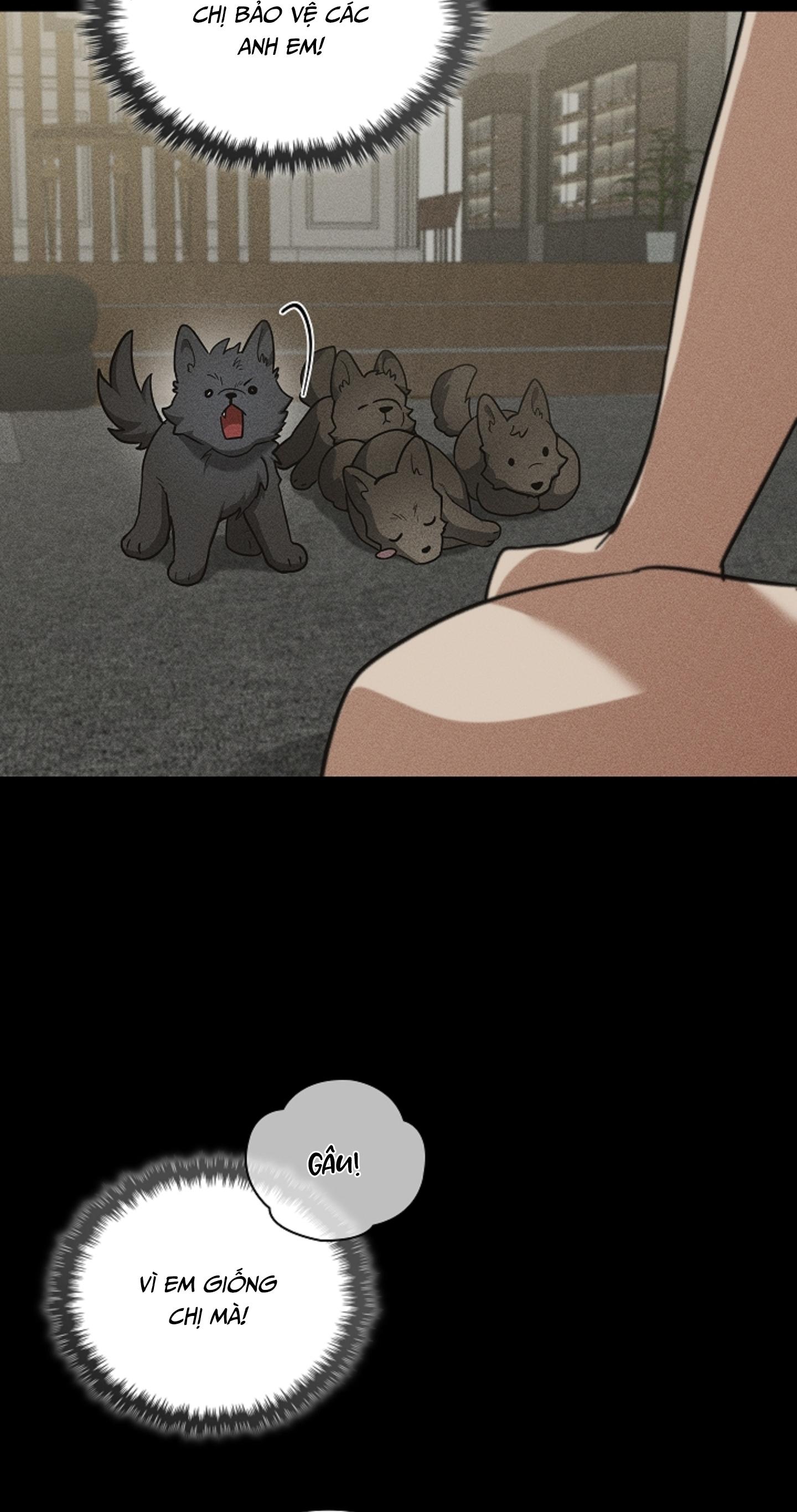 ĐỪNG CHẠM VÀO CÚN CON CỦA TÔI Chapter 38 - Next 
