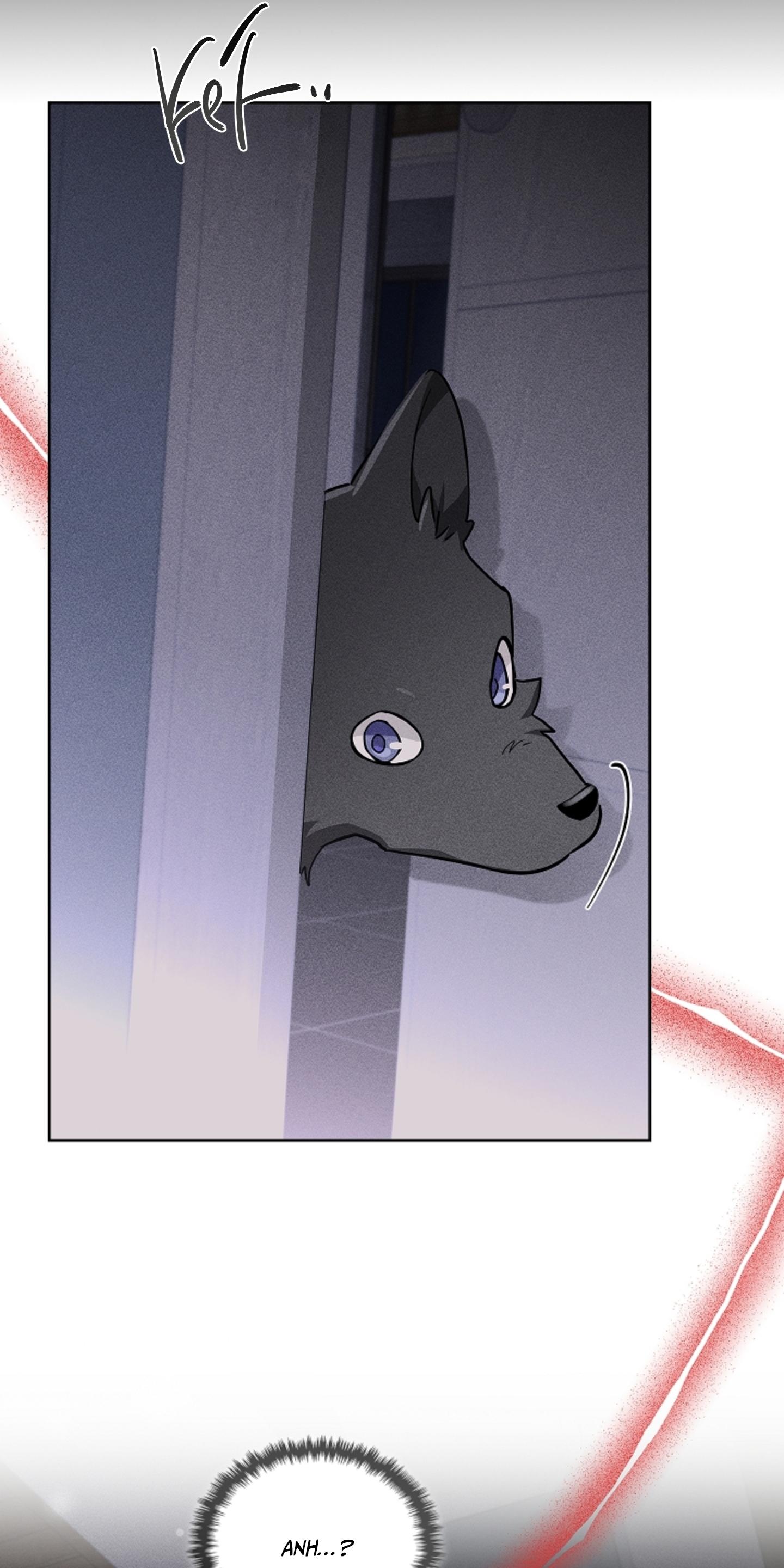 ĐỪNG CHẠM VÀO CÚN CON CỦA TÔI Chapter 38 - Next 