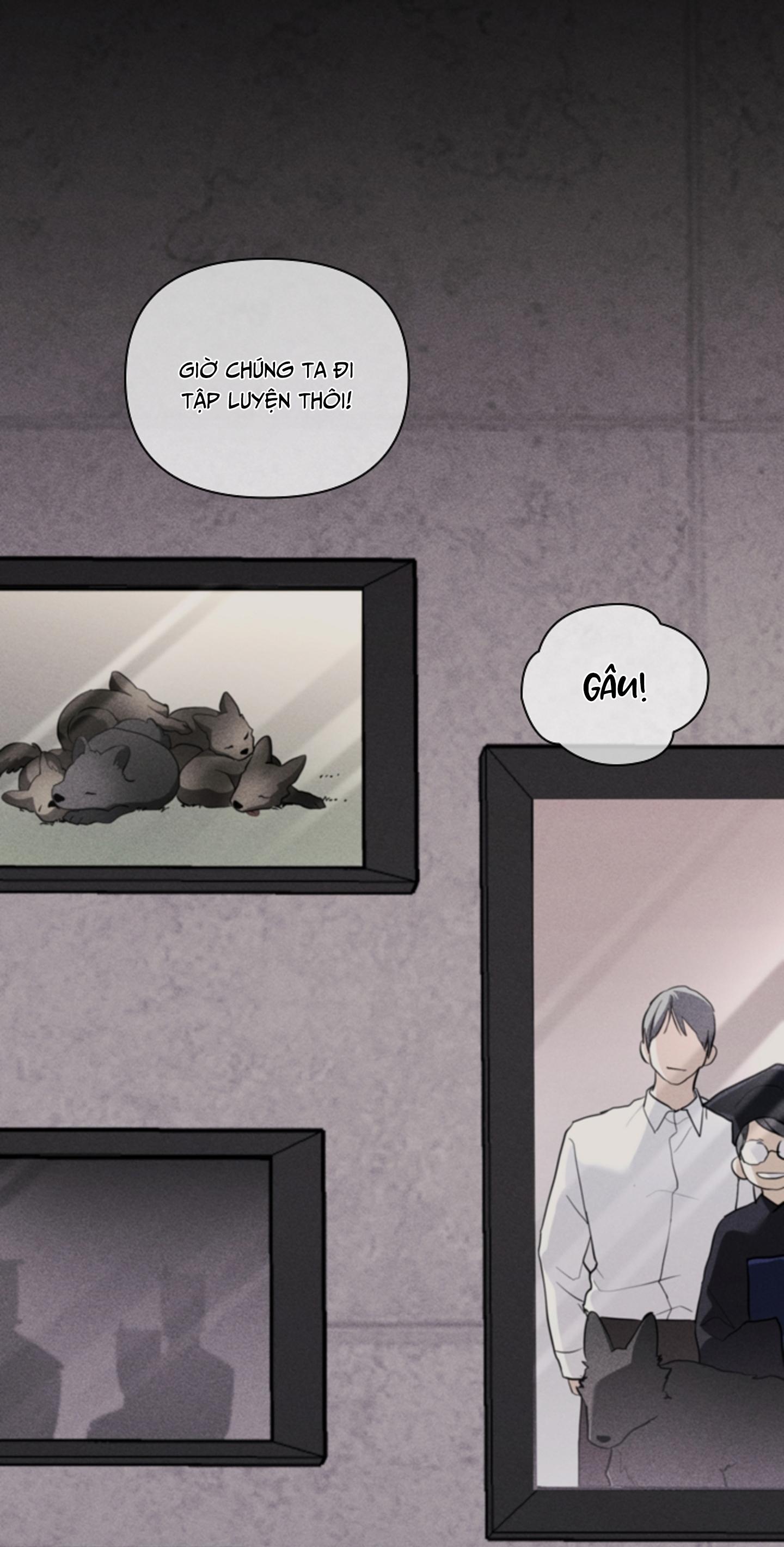 ĐỪNG CHẠM VÀO CÚN CON CỦA TÔI Chapter 38 - Next 