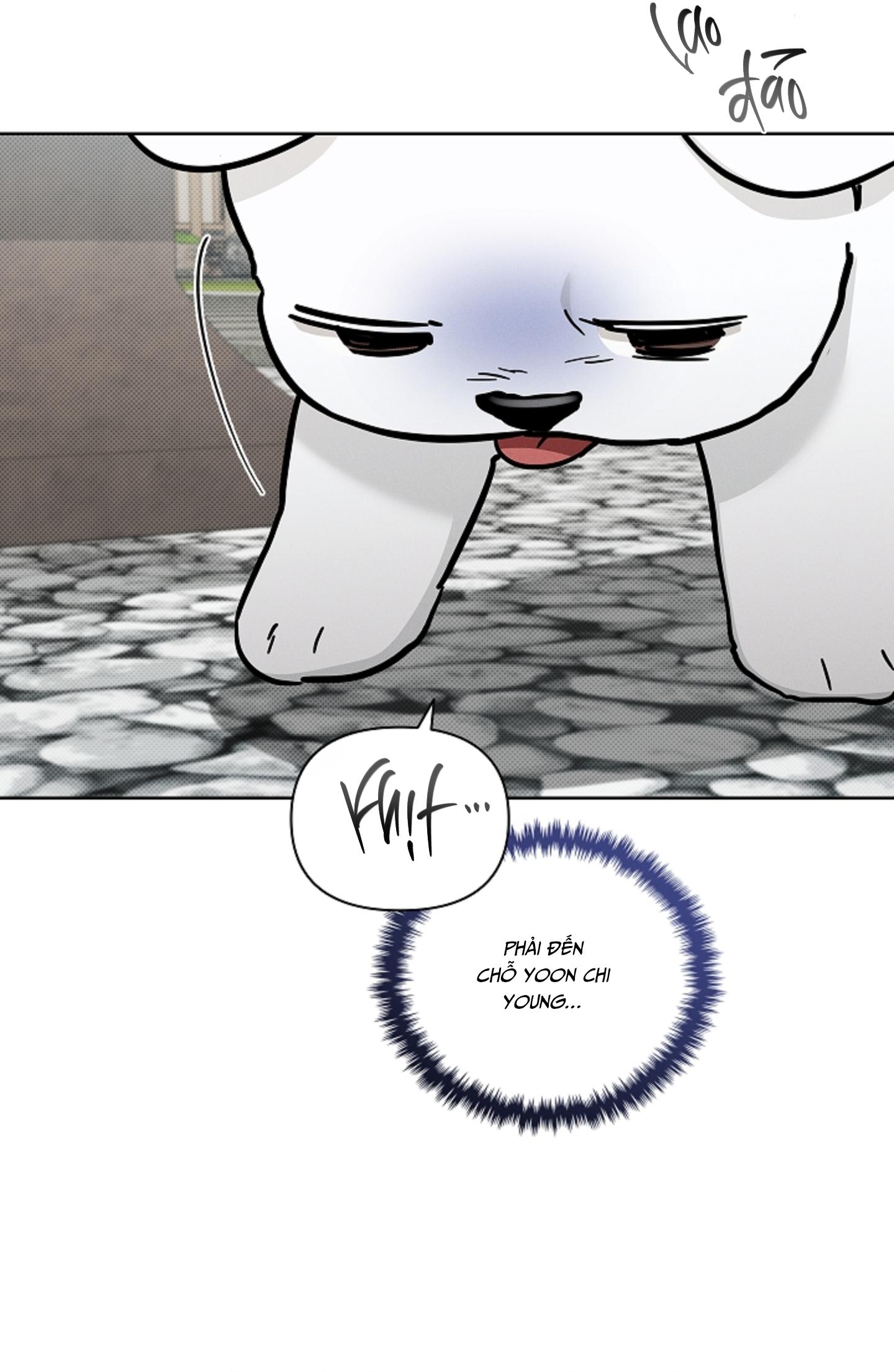 ĐỪNG CHẠM VÀO CÚN CON CỦA TÔI Chapter 40 - Next 