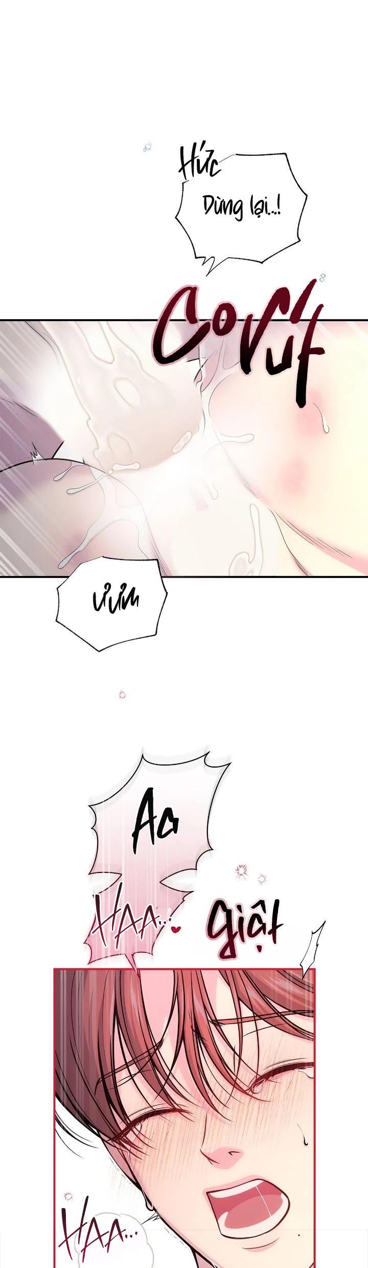 (END) Tình Yêu Bí Mật Chapter 65 End chínhtruyện - Next 
