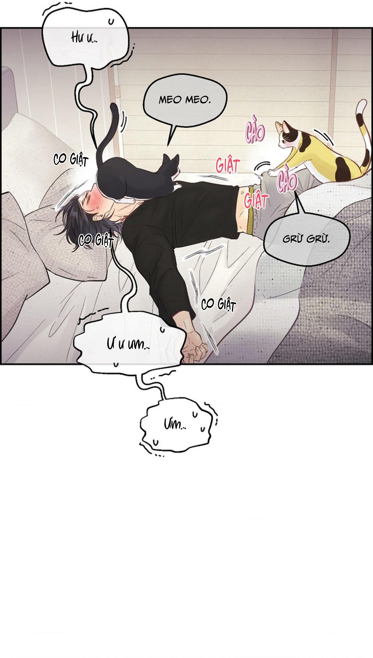 BẠN TRAI VÔ SONG CỦA TÔI Chapter 39 NT7 18++ - Next 