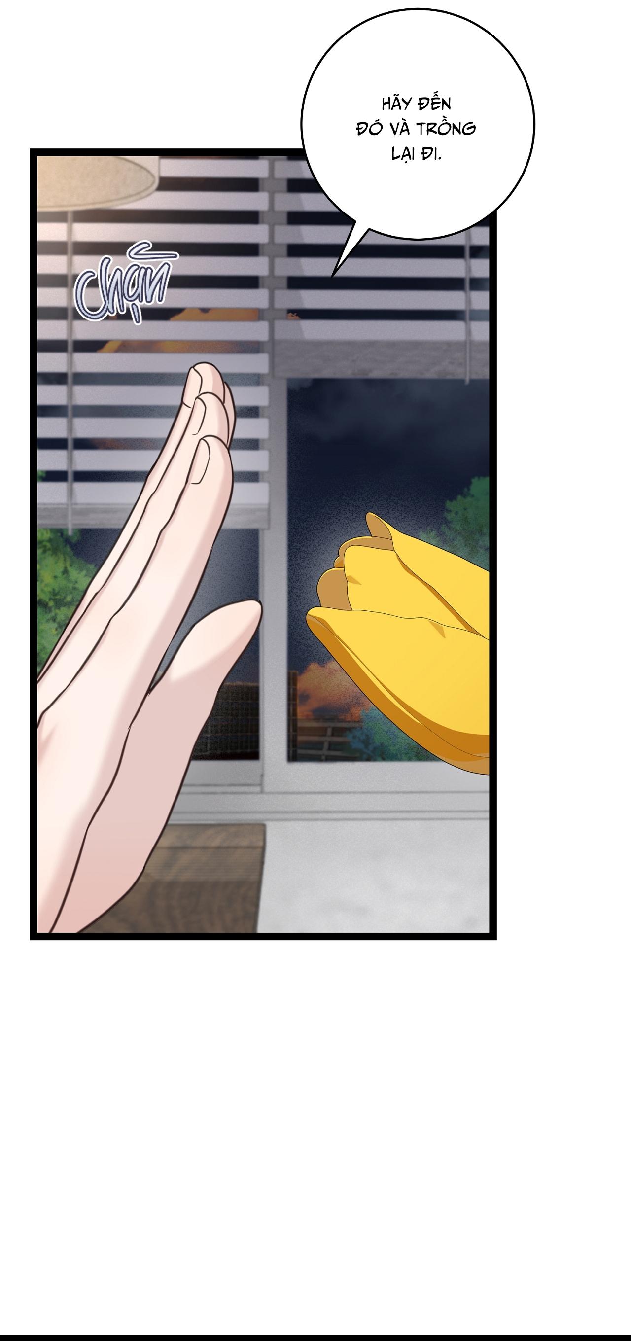 BÁU VẬT CỦA GUIDE Chapter 10 - Next 
