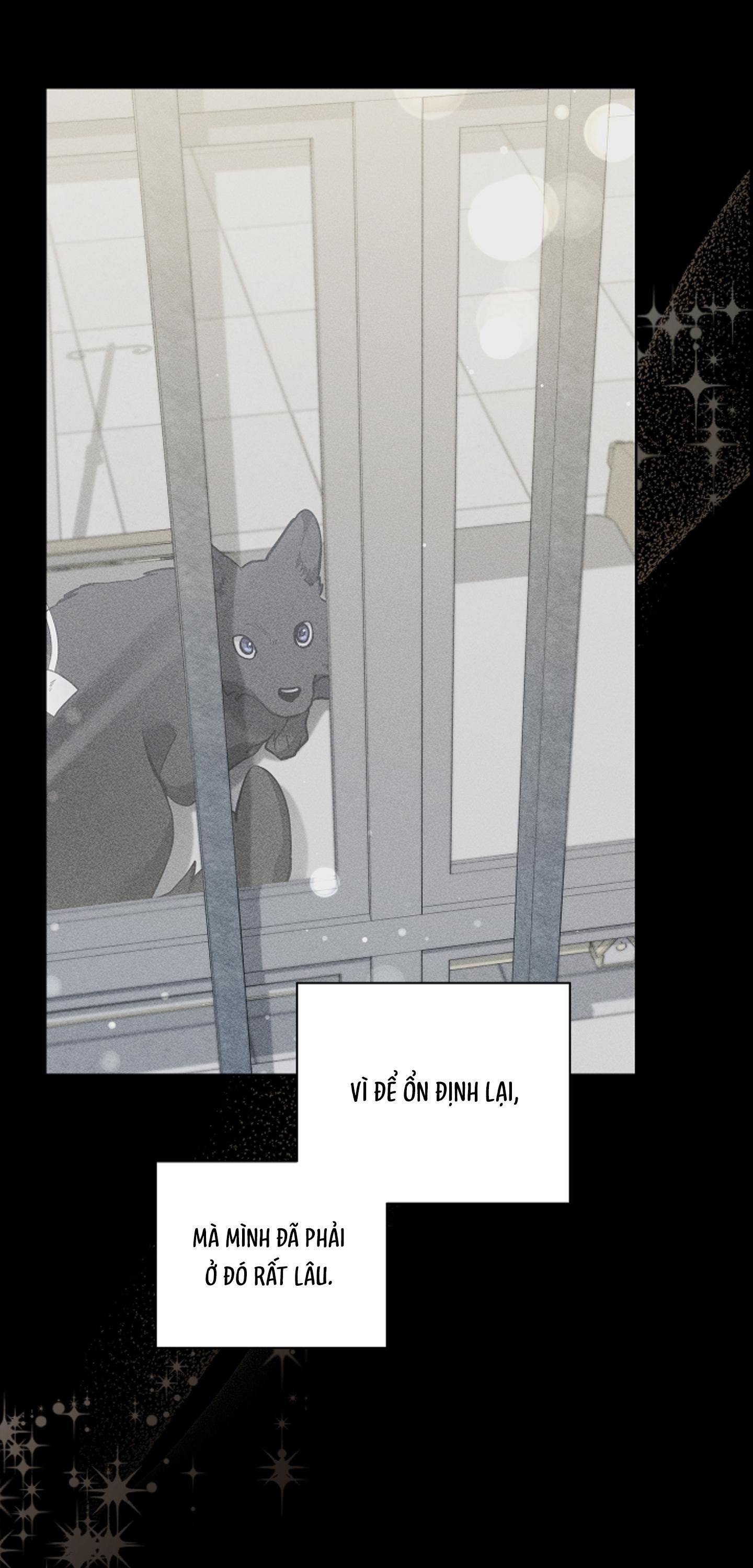 ĐỪNG CHẠM VÀO CÚN CON CỦA TÔI Chapter 38 - Next 