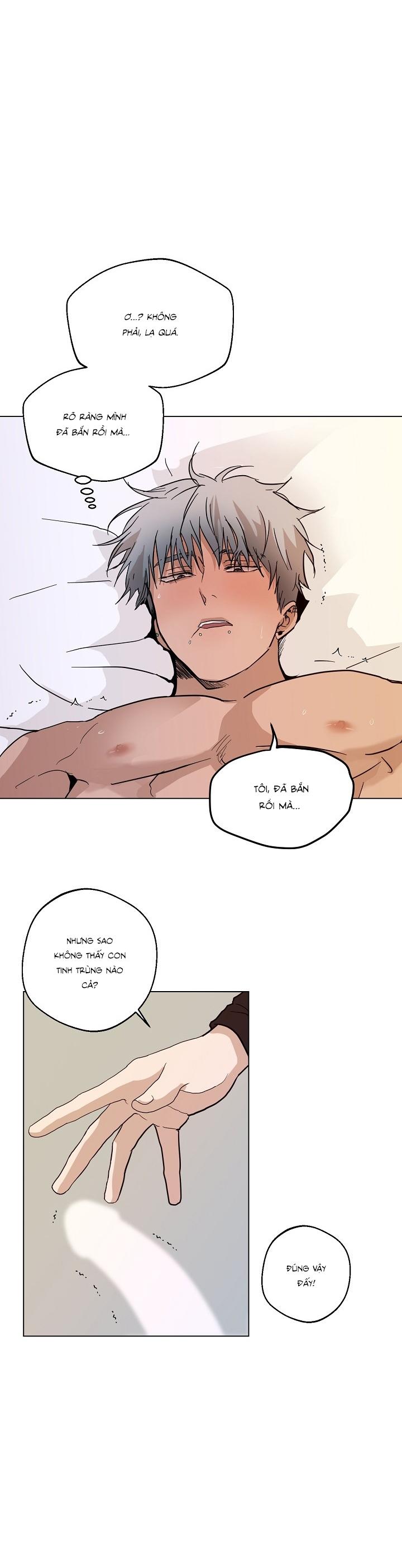 TUYỂN TẬP ÁM ẢNH, MƯU MÔ CÔNG Chapter 2.11 - Next Chapter 2.12