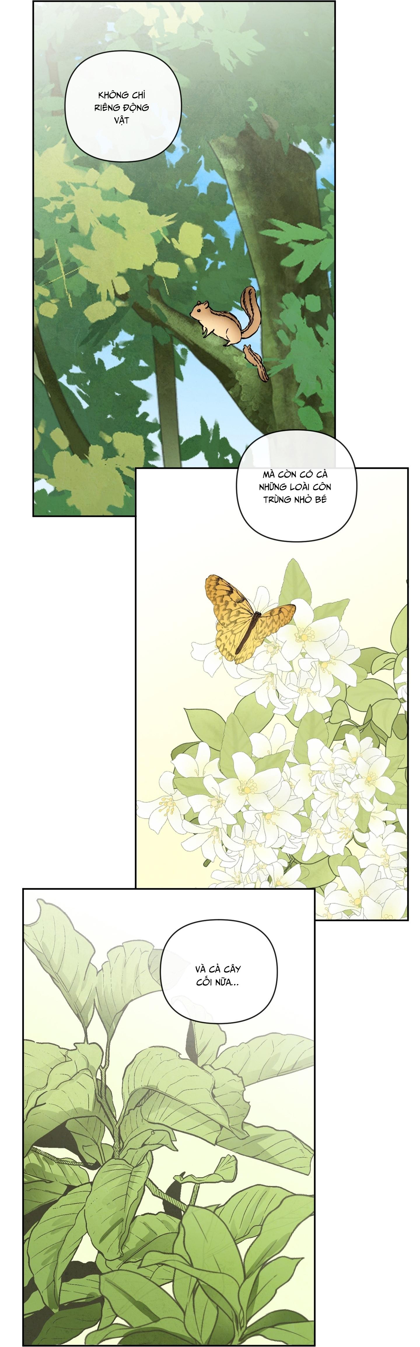 The Sacred Serpent's Seduction Chapter 15 - Trang 2