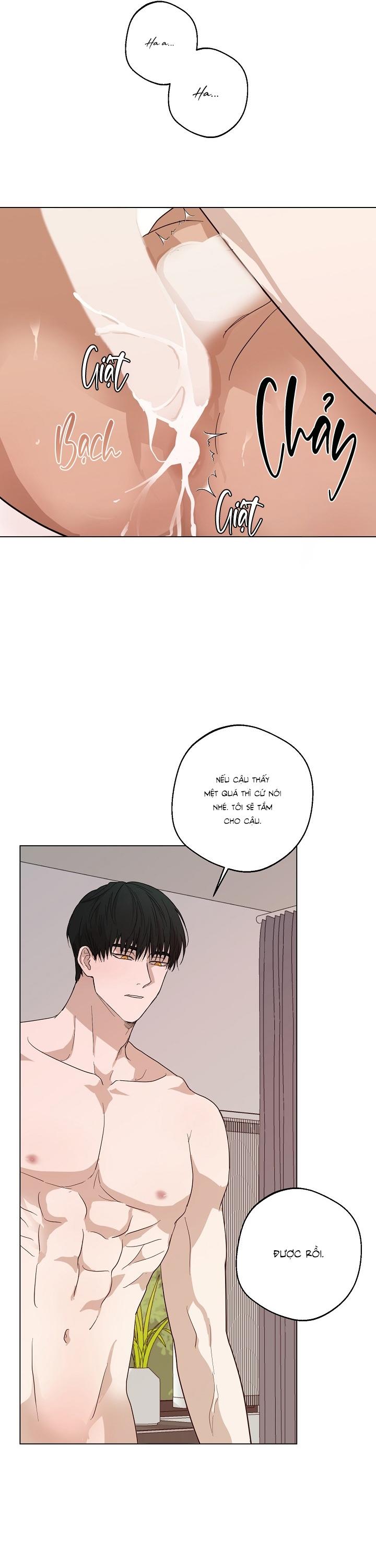 TUYỂN TẬP ÁM ẢNH, MƯU MÔ CÔNG Chapter 2.11 - Next Chapter 2.12