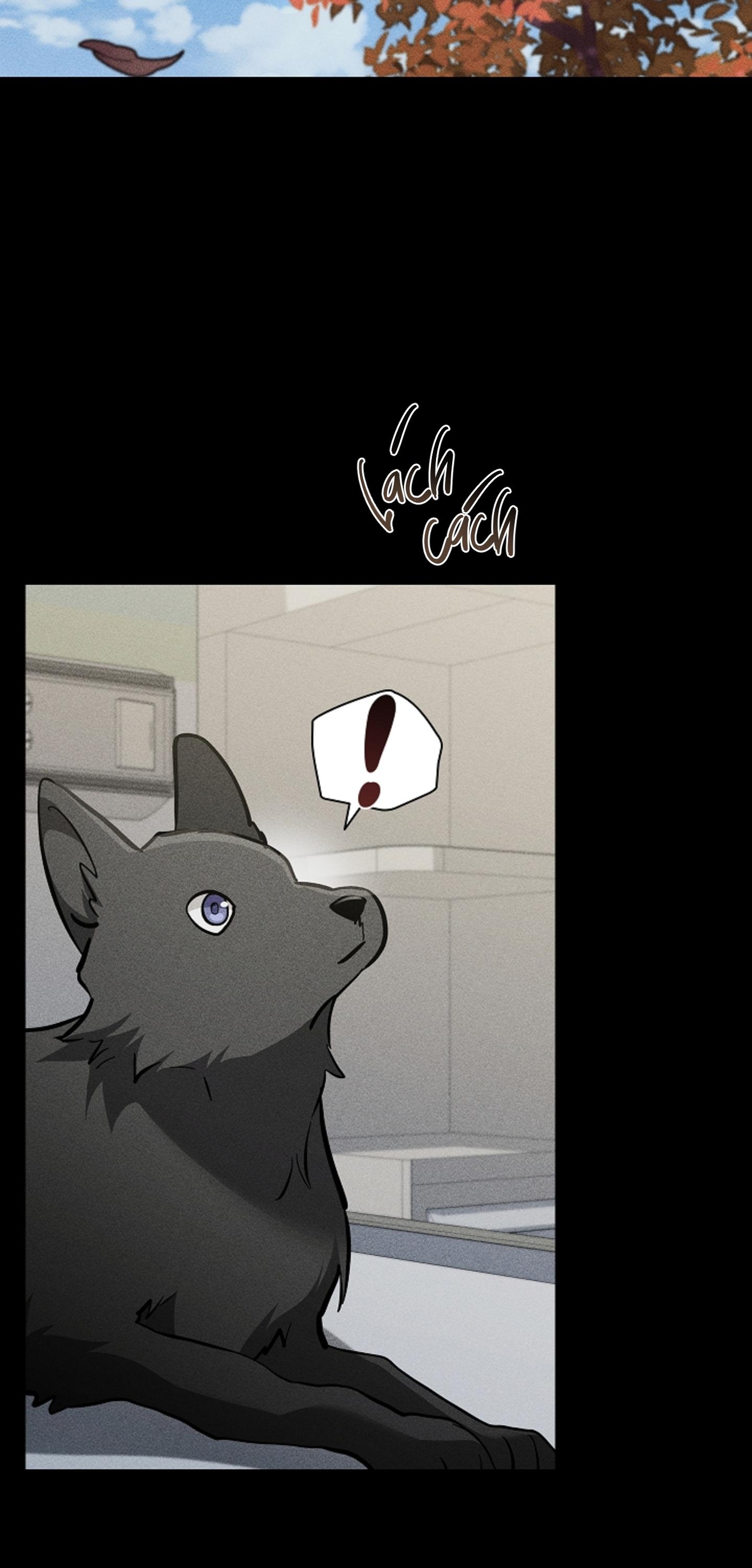 ĐỪNG CHẠM VÀO CÚN CON CỦA TÔI Chapter 38 - Next 