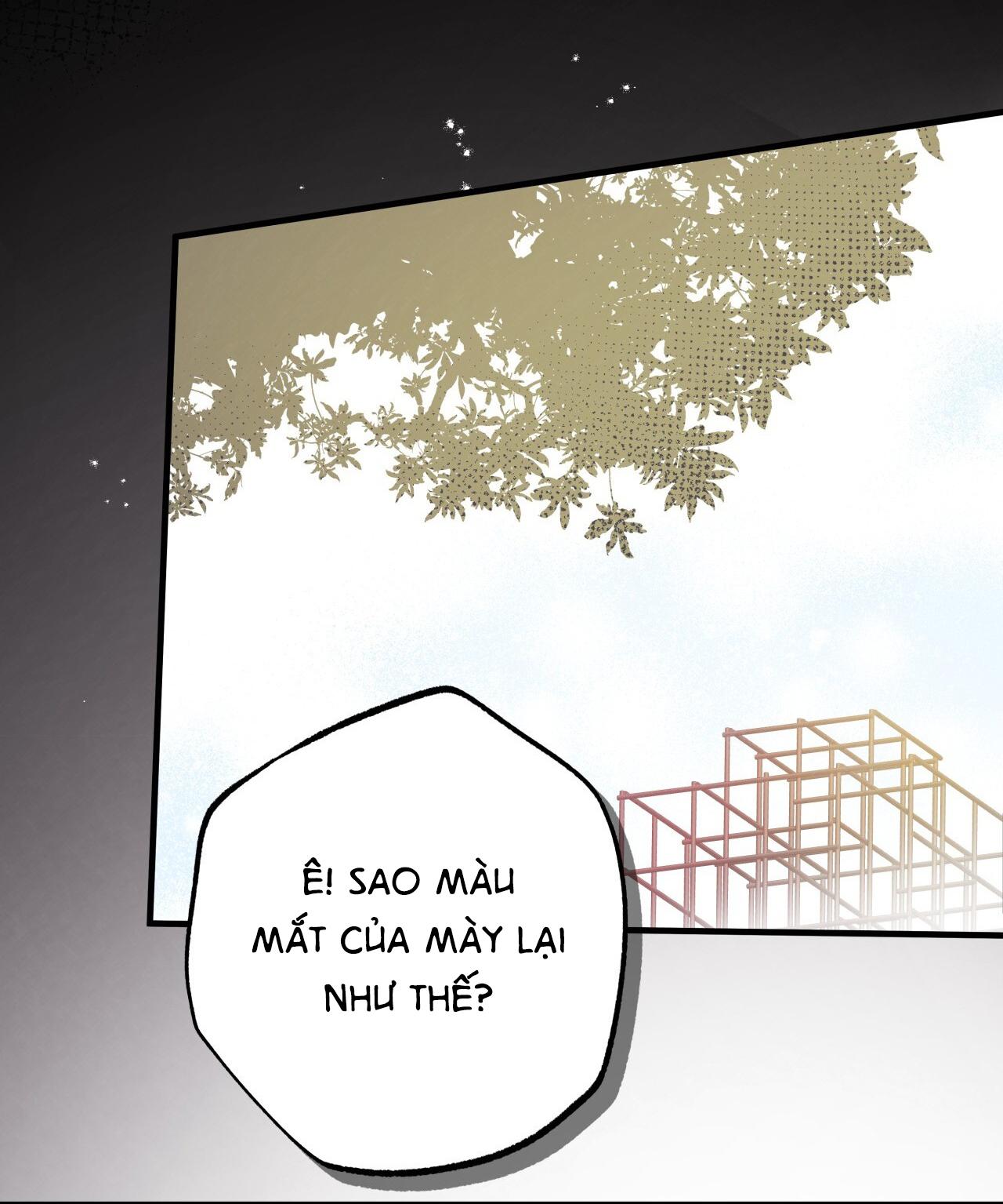 (END) MẬT GẤU Chapter 37 - Next Chapter 38