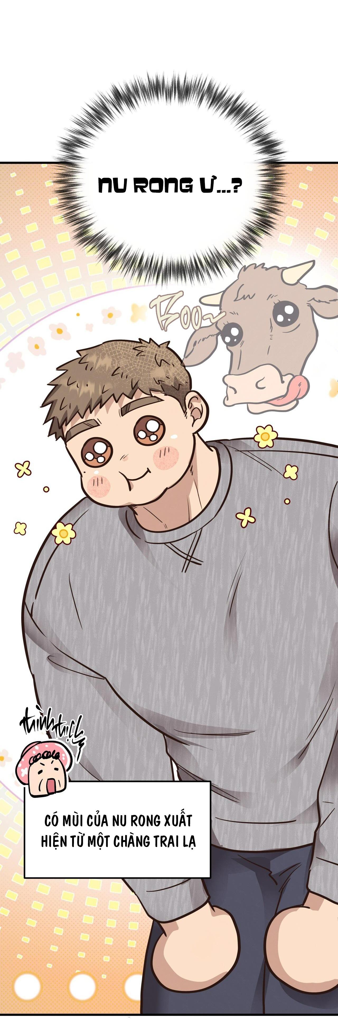 (END) MẬT GẤU Chapter 54 - Next Chapter 55