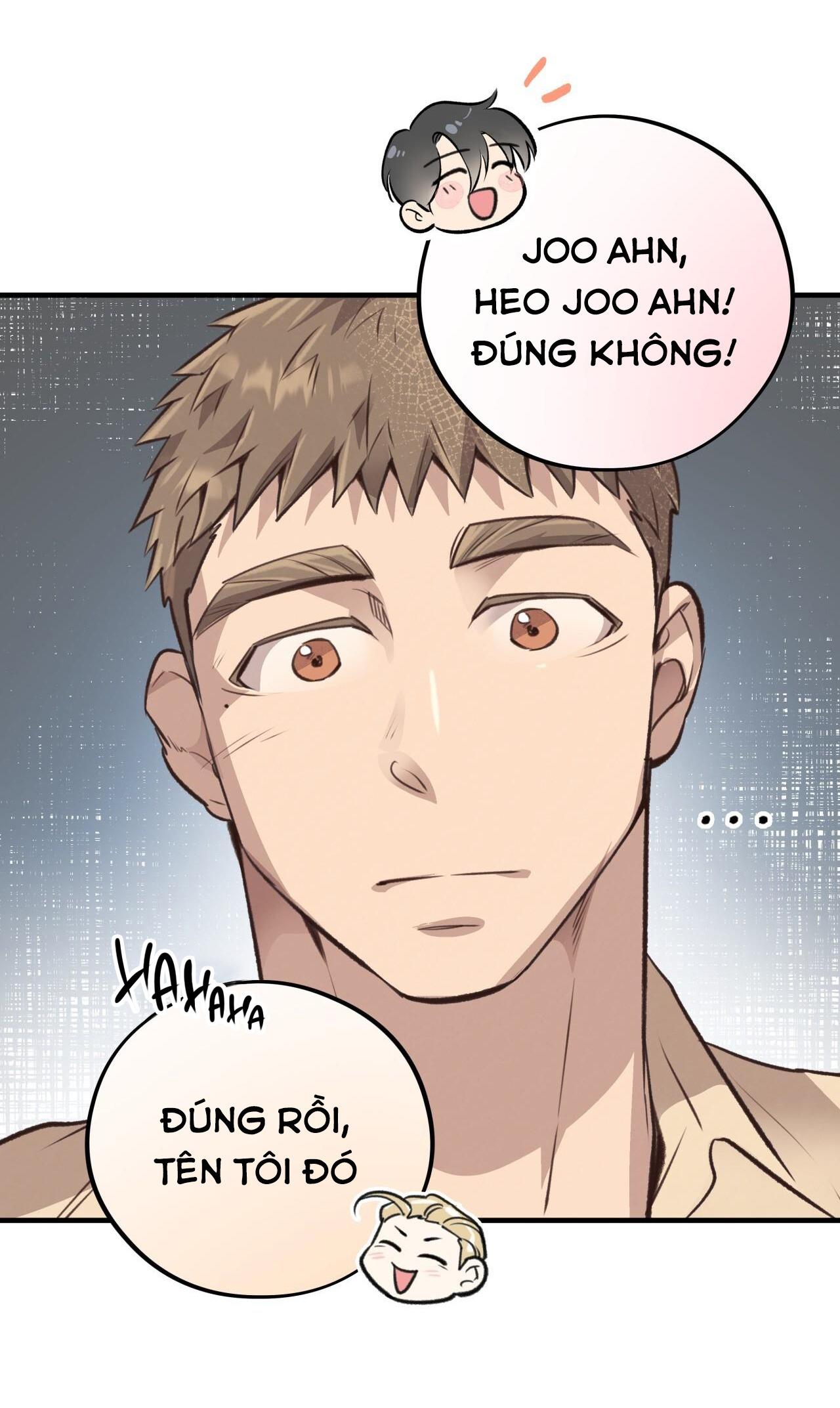 (END) MẬT GẤU Chapter 36 - Next Chapter 37