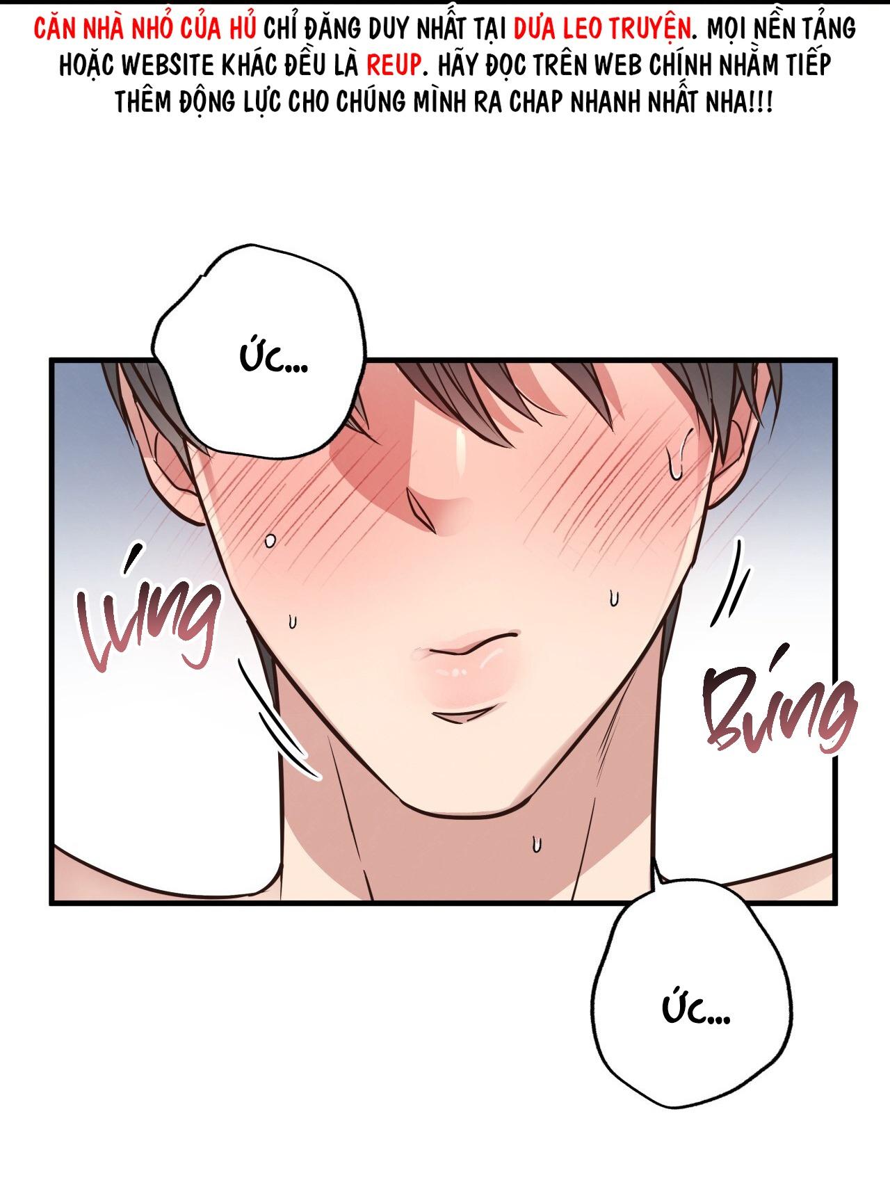 (END) MẬT GẤU Chapter 41 - Next Chapter 42