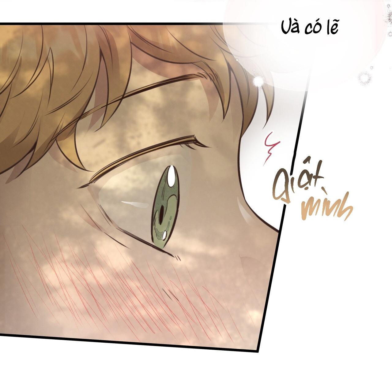 (END) MẬT GẤU Chapter 38 - Next Chapter 39