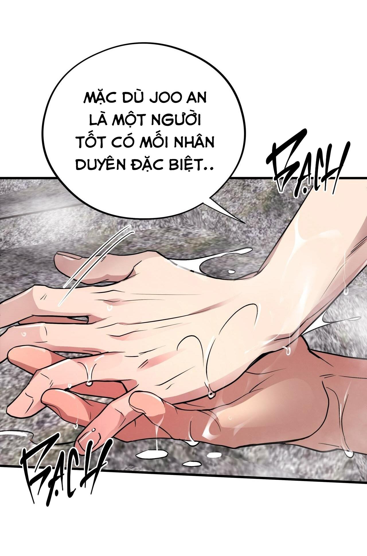 (END) MẬT GẤU Chapter 49 - Next Chapter 50