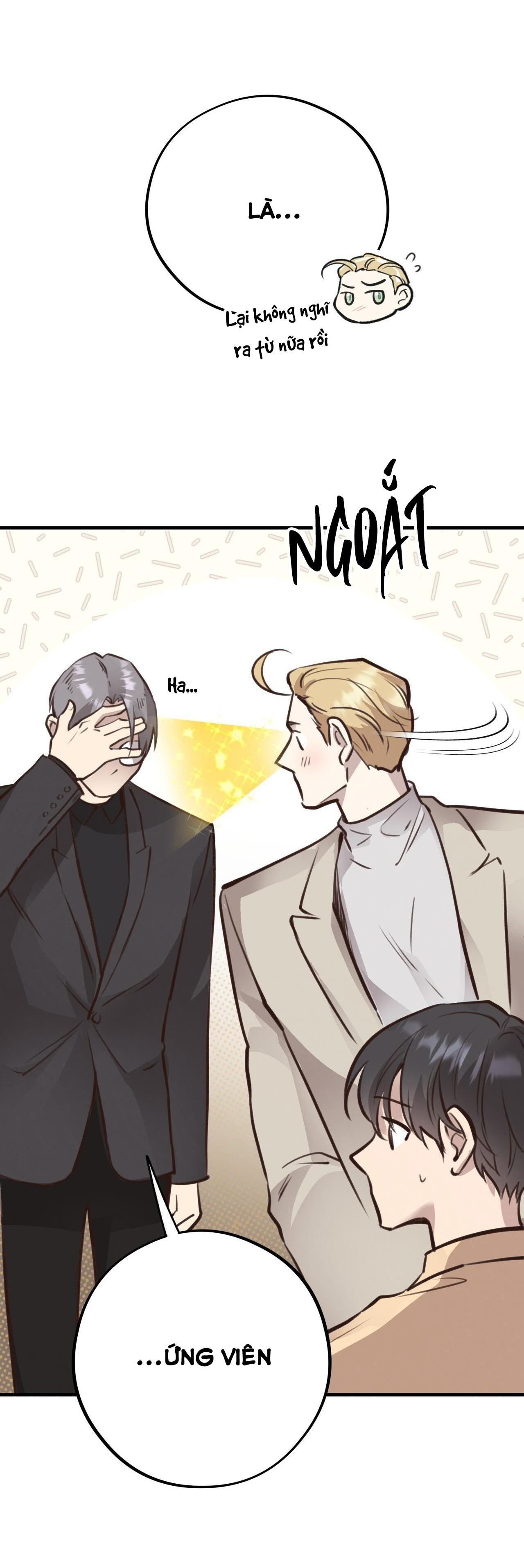 (END) MẬT GẤU Chapter 39 - Next Chapter 40