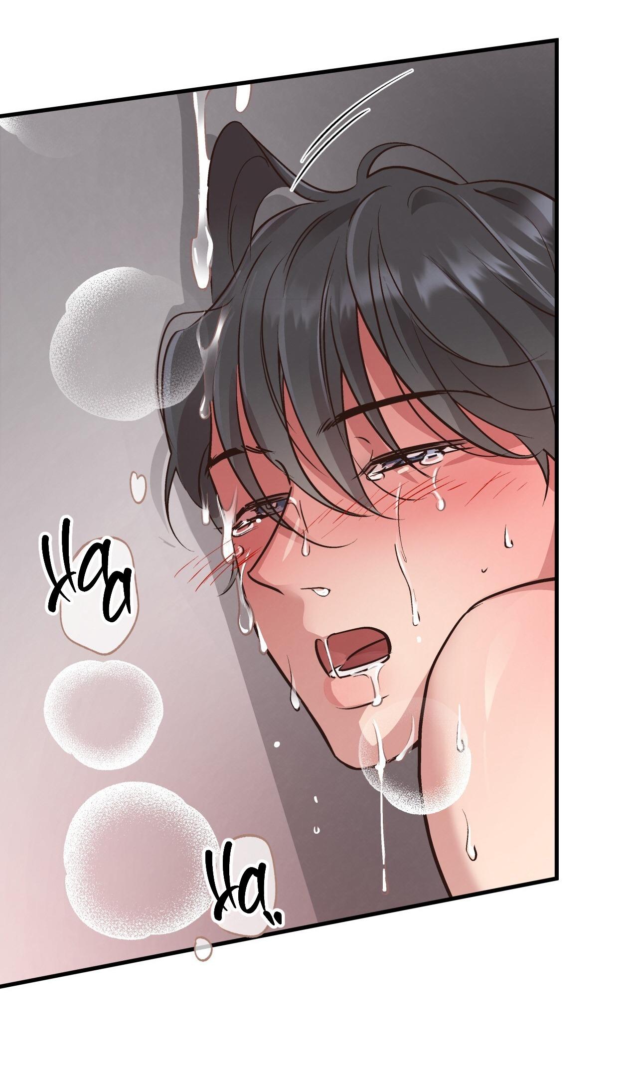 (END) MẬT GẤU Chapter 42 - Next Chapter 43