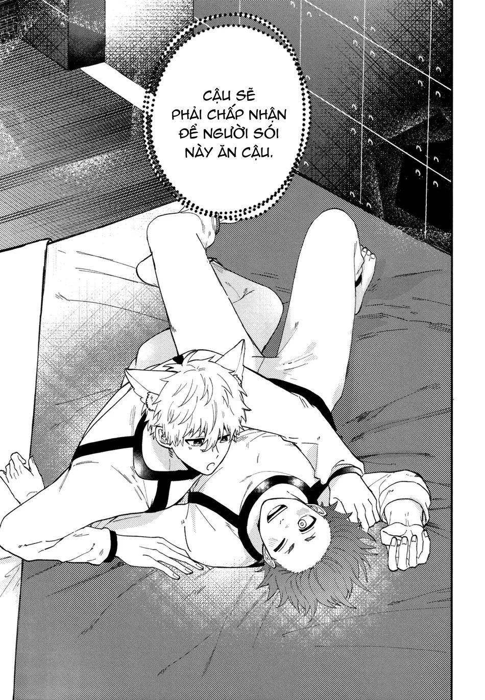 Blue Lock Dj Chapter 43 Nagi x Reo - Trang 2