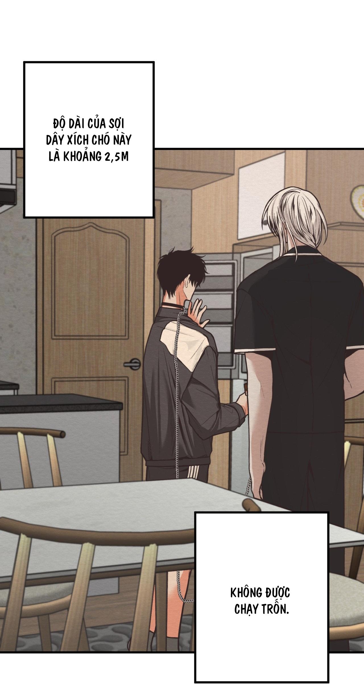 (END SS) DEVIL ON TOP Chapter 8 - Trang 2