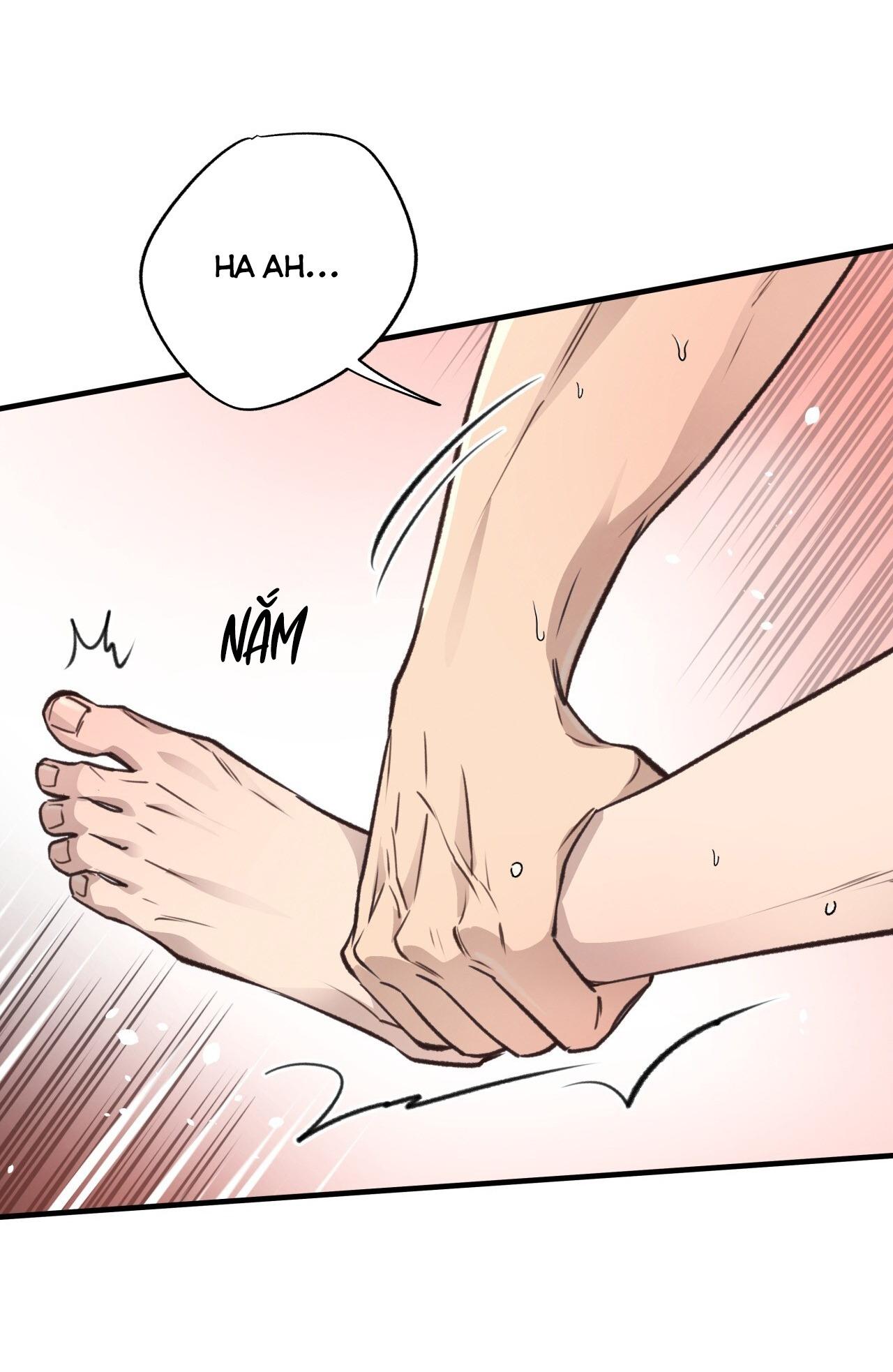 (END) MẬT GẤU Chapter 35 - Next Chapter 36