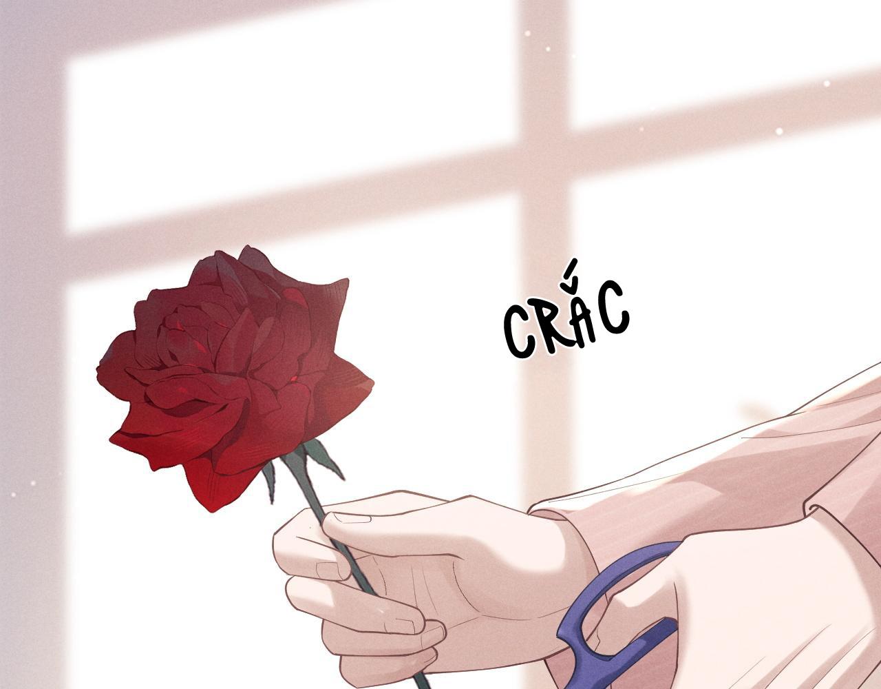 Chấp Sự Thỏ Tai Cụp Chapter 68 - Next Chapter 69
