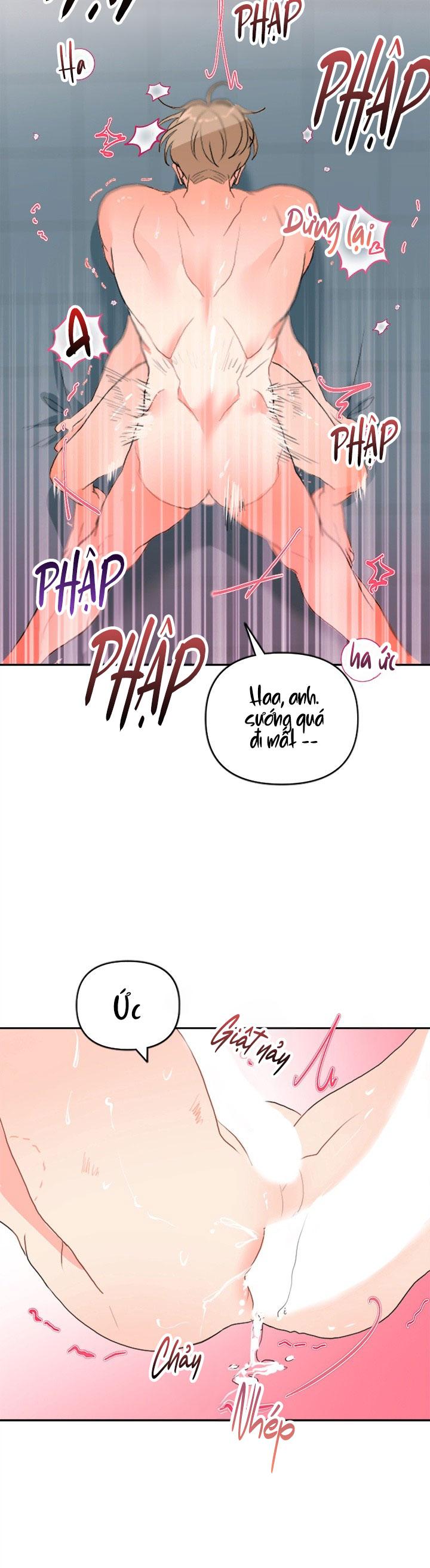 (ABO) OMEGA CỦA ANH TRAI Chapter 1 - Trang 2