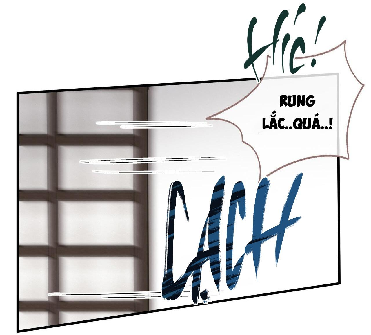 (END) MẬT GẤU Chapter 50 - Next Chapter 51