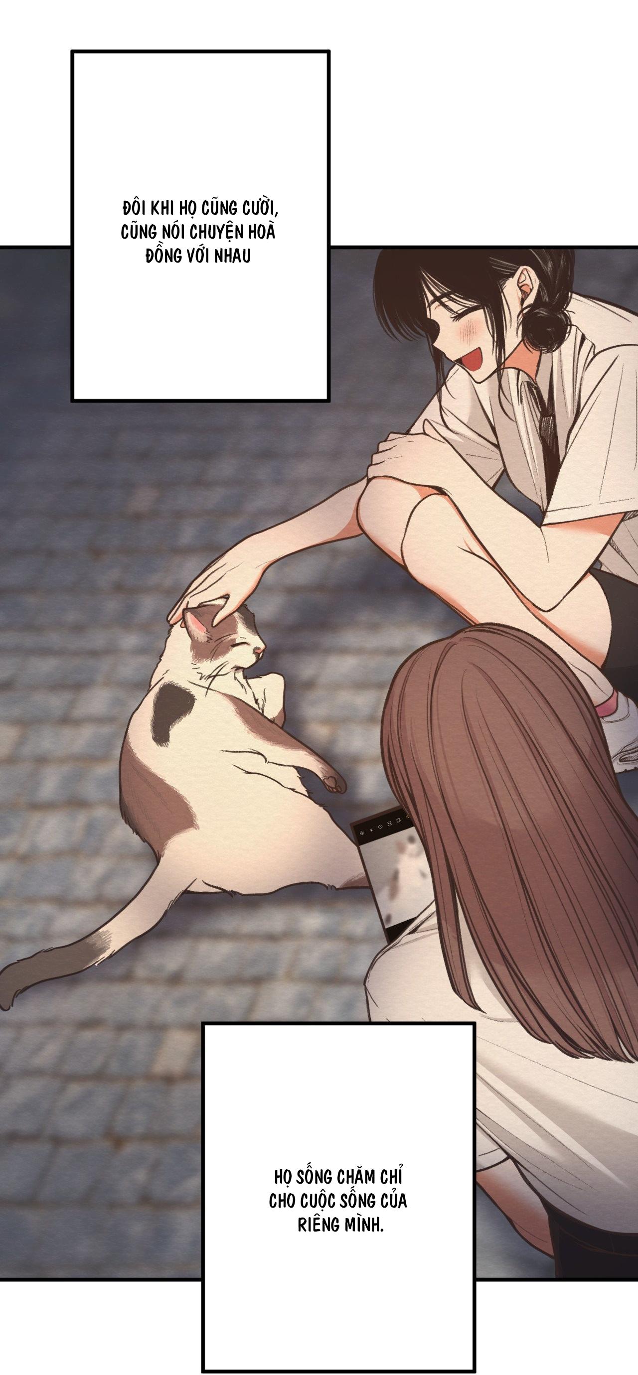 (END SS) DEVIL ON TOP Chapter 8 - Trang 2