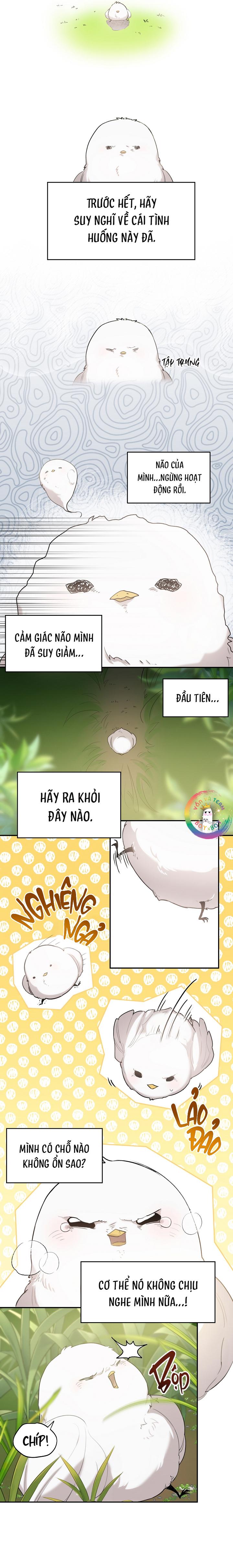(END) Này, Đừng Có Nhấn Cái Nút Đó! Chapter 1 - Trang 2