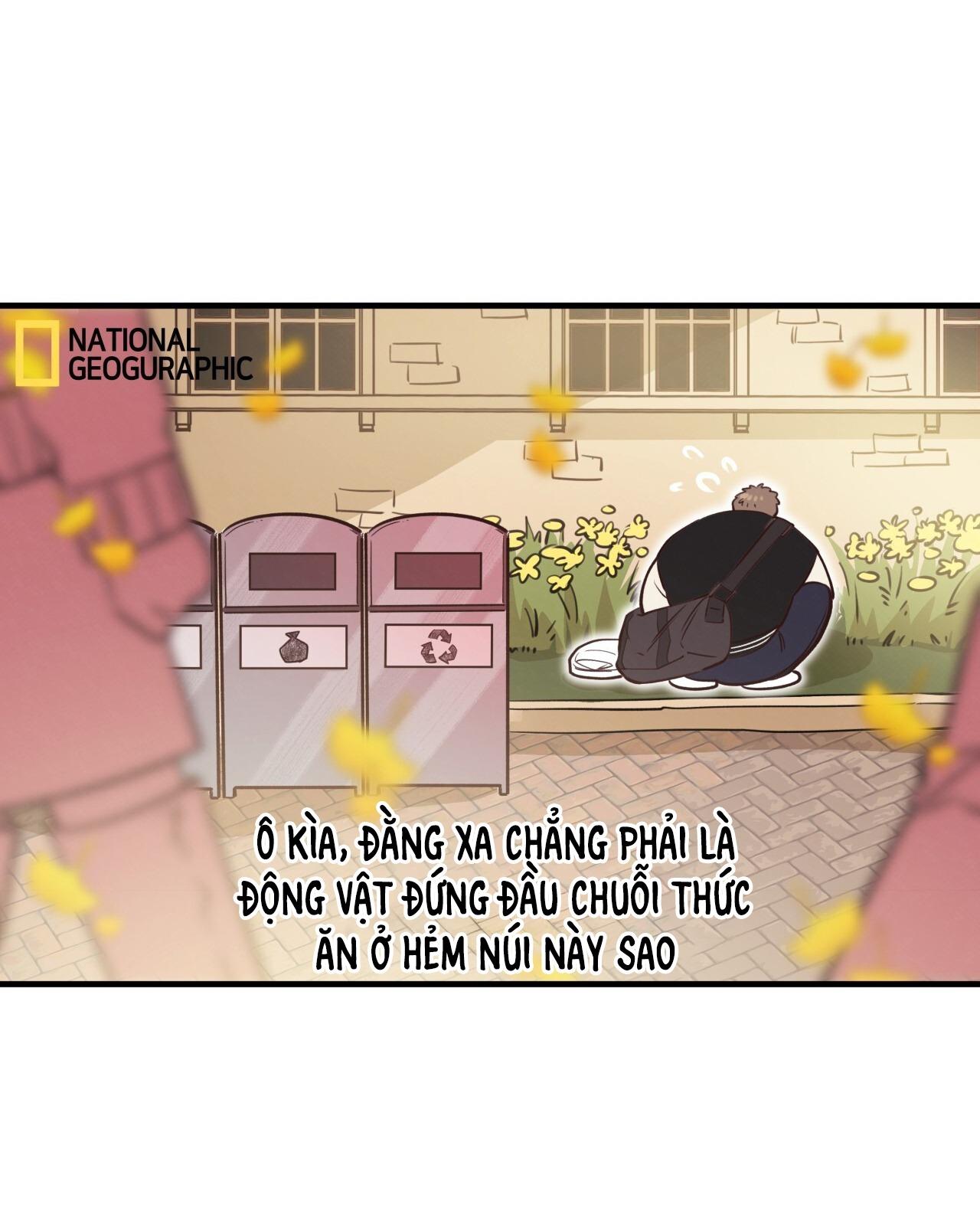 (END) MẬT GẤU Chapter 31 SS2 - Next Chapter 32