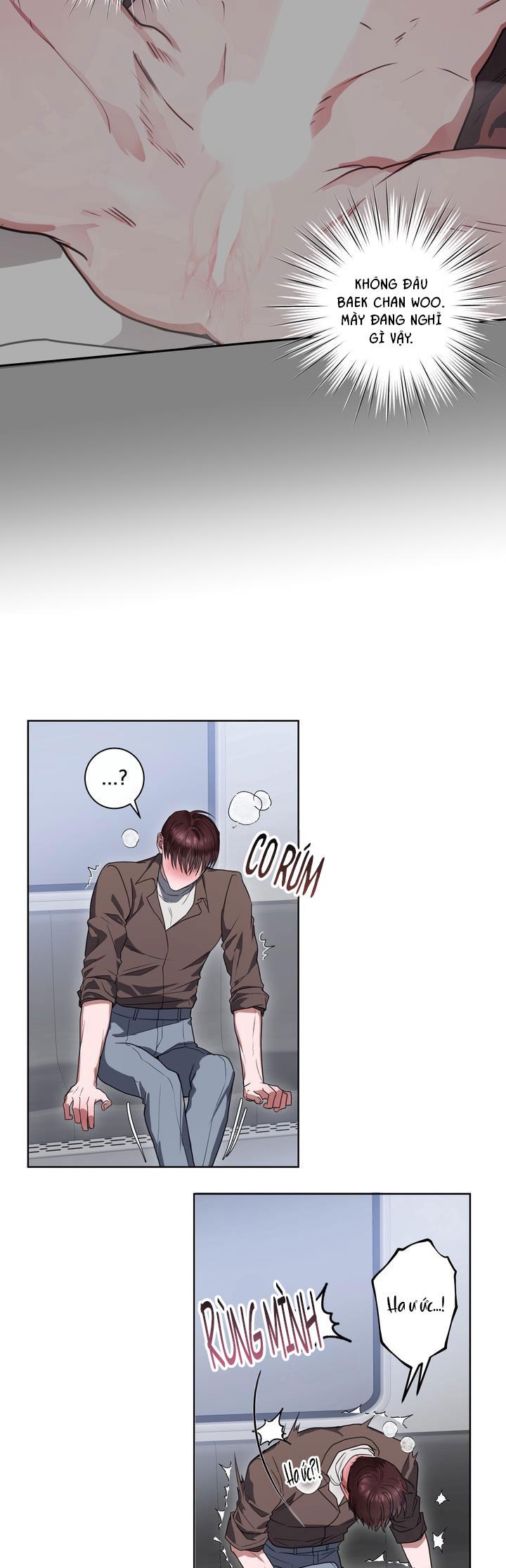 CÔ DÂU RỒNG Chapter 2 - Trang 2