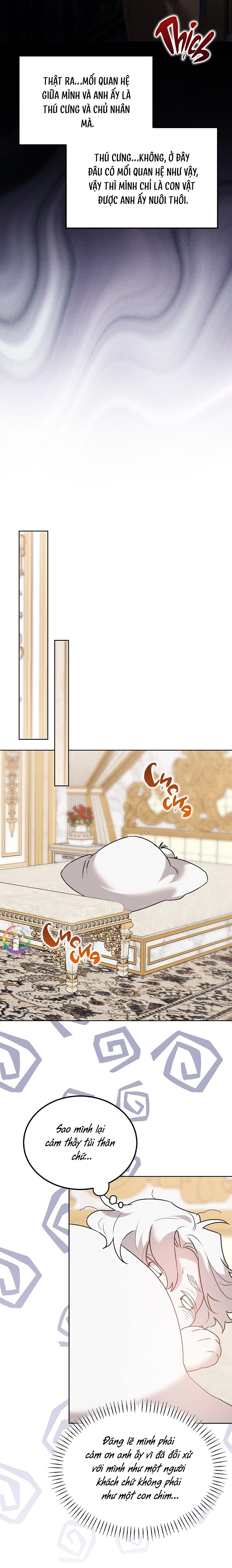 (END) Này, Đừng Có Nhấn Cái Nút Đó! Chapter 29 - Trang 2