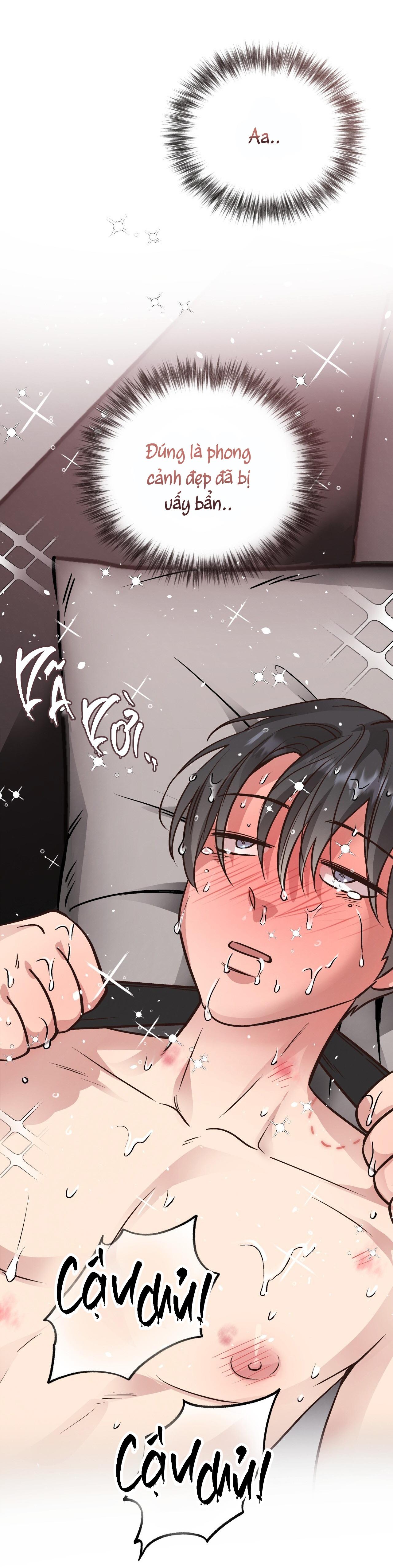 (END) MẬT GẤU Chapter 42 - Next Chapter 43