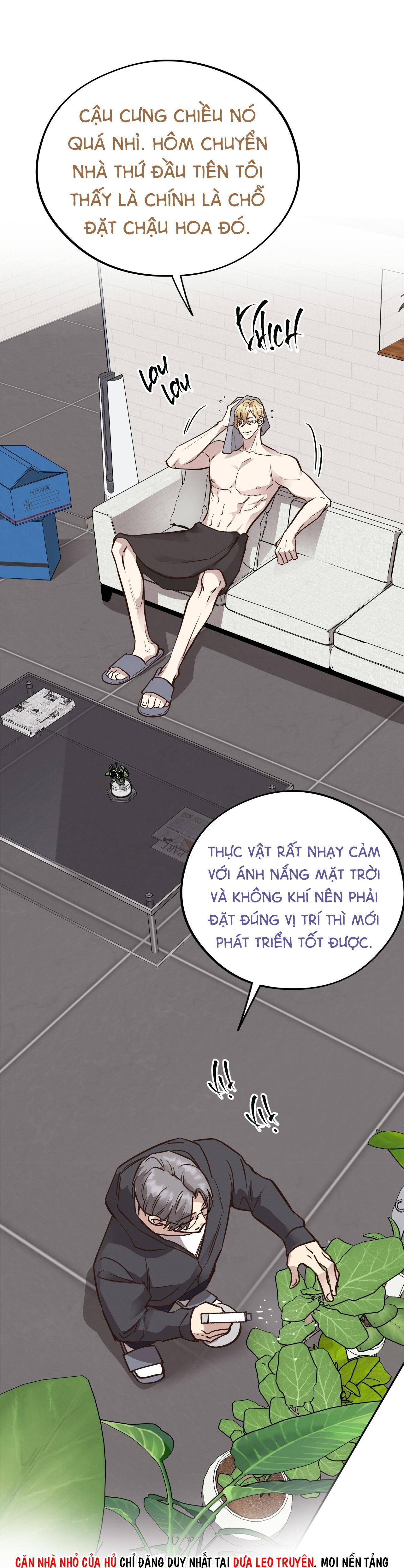 (END) MẬT GẤU Chapter 46 - Next Chapter 47