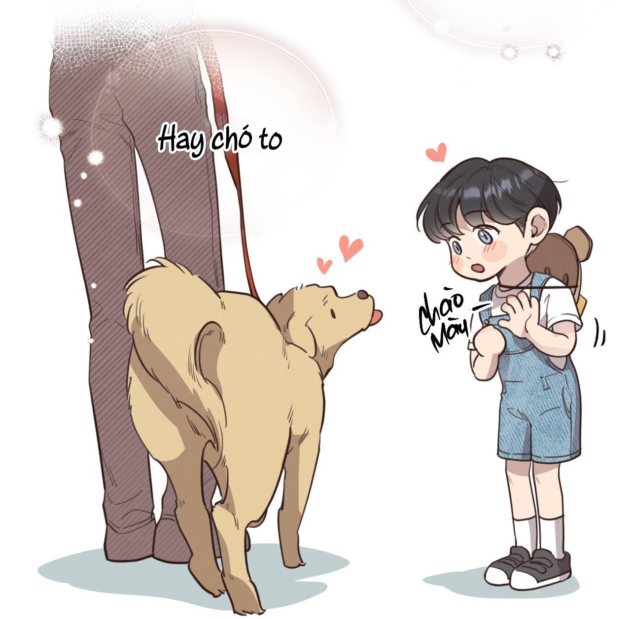 (END) MẬT GẤU Chapter 38 - Next Chapter 39
