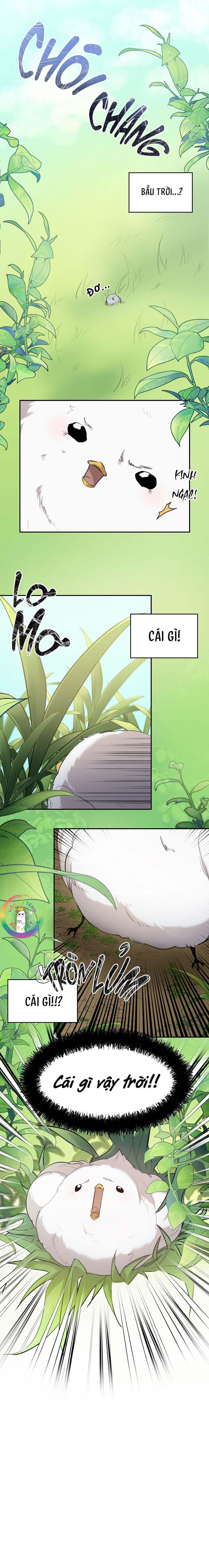 (END) Này, Đừng Có Nhấn Cái Nút Đó! Chapter 1 - Trang 2