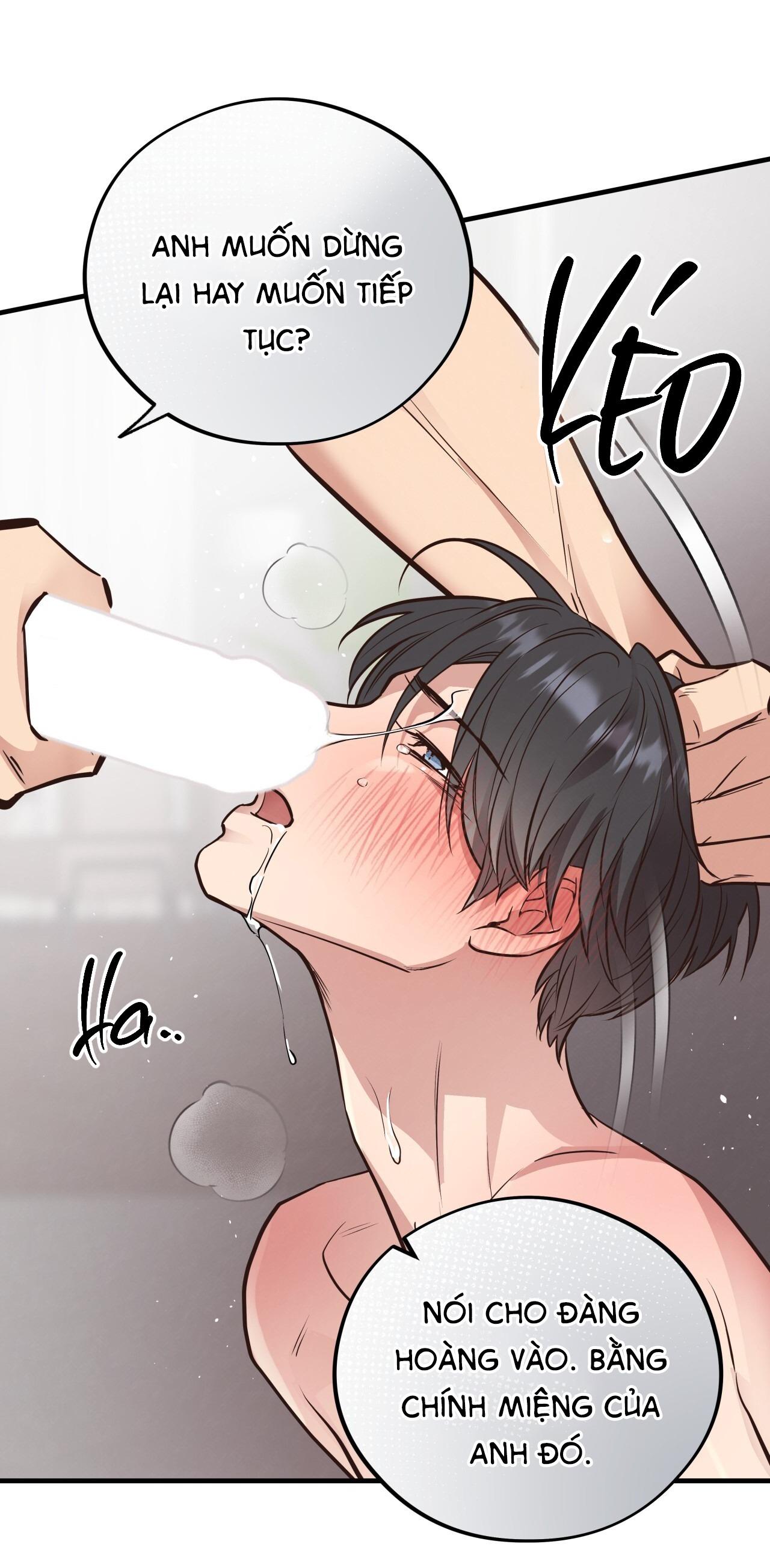 (END) MẬT GẤU Chapter 41 - Next Chapter 42