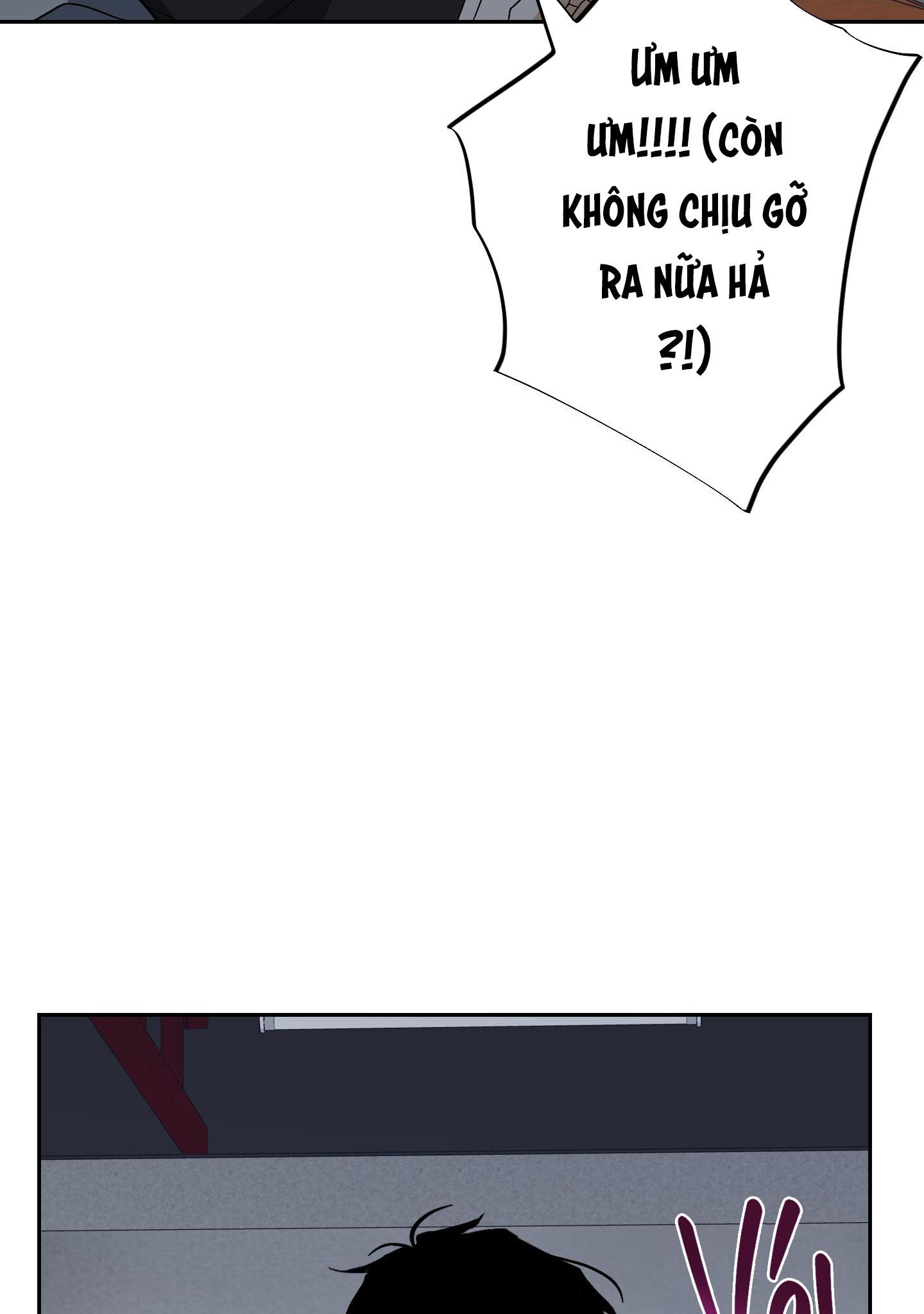 TƯƠNG XỨNG Chapter 2 - Trang 2