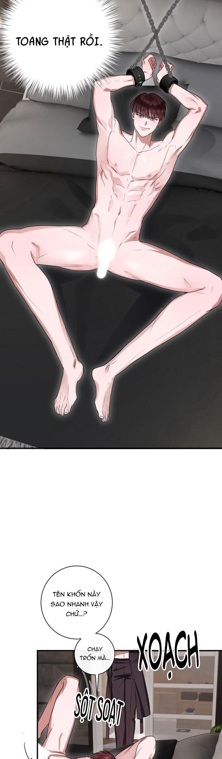 CÔ DÂU RỒNG Chapter 5 - Trang 2