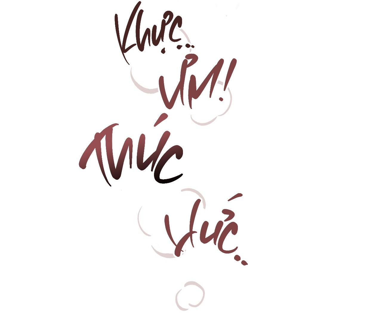 (END) MẬT GẤU Chapter 41 - Next Chapter 42