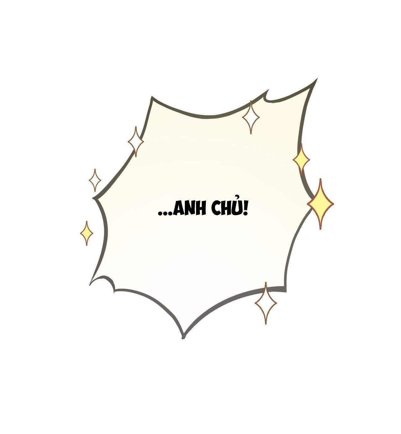 (END) MẬT GẤU Chapter 35 - Next Chapter 36