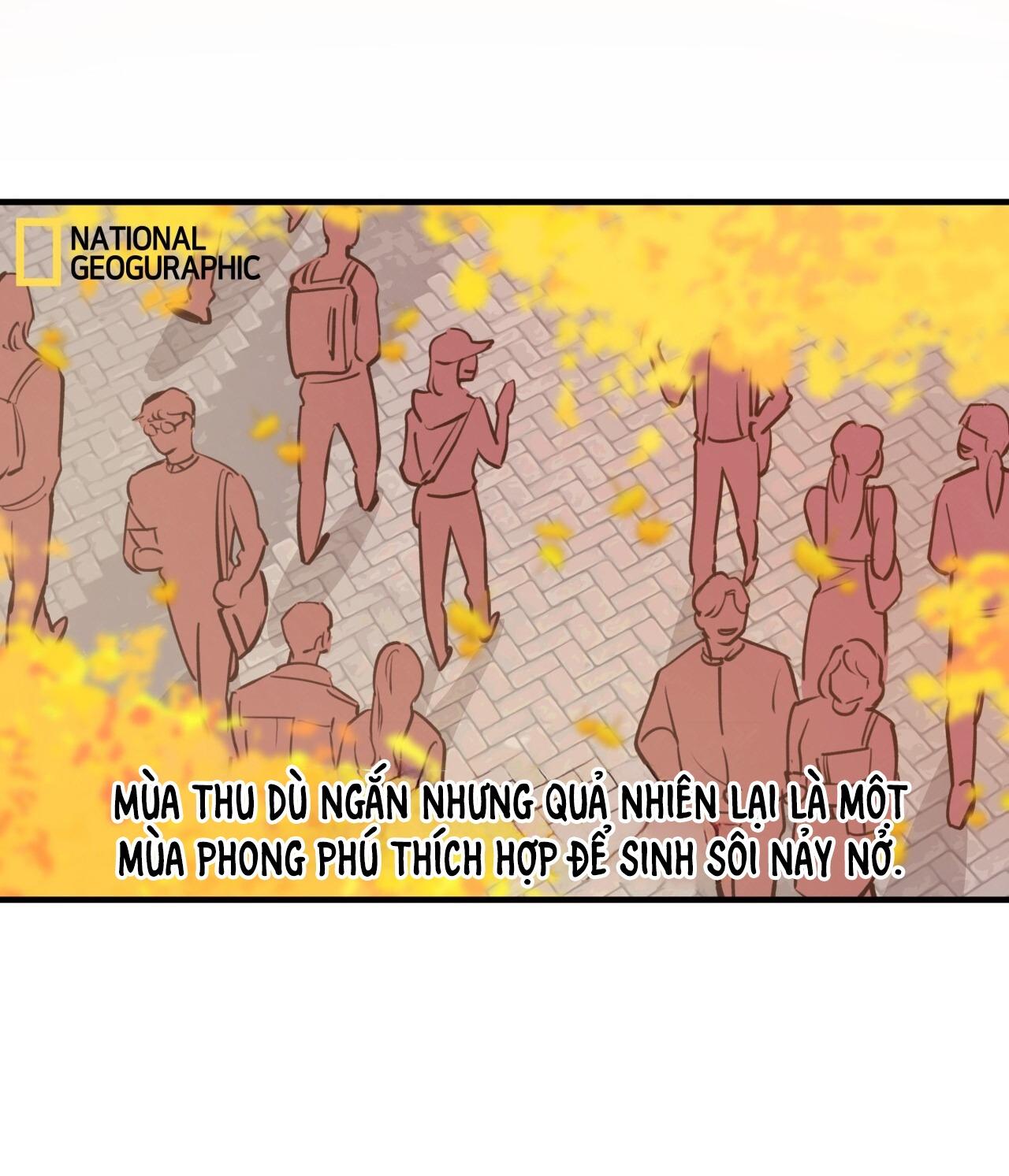 (END) MẬT GẤU Chapter 31 SS2 - Next Chapter 32