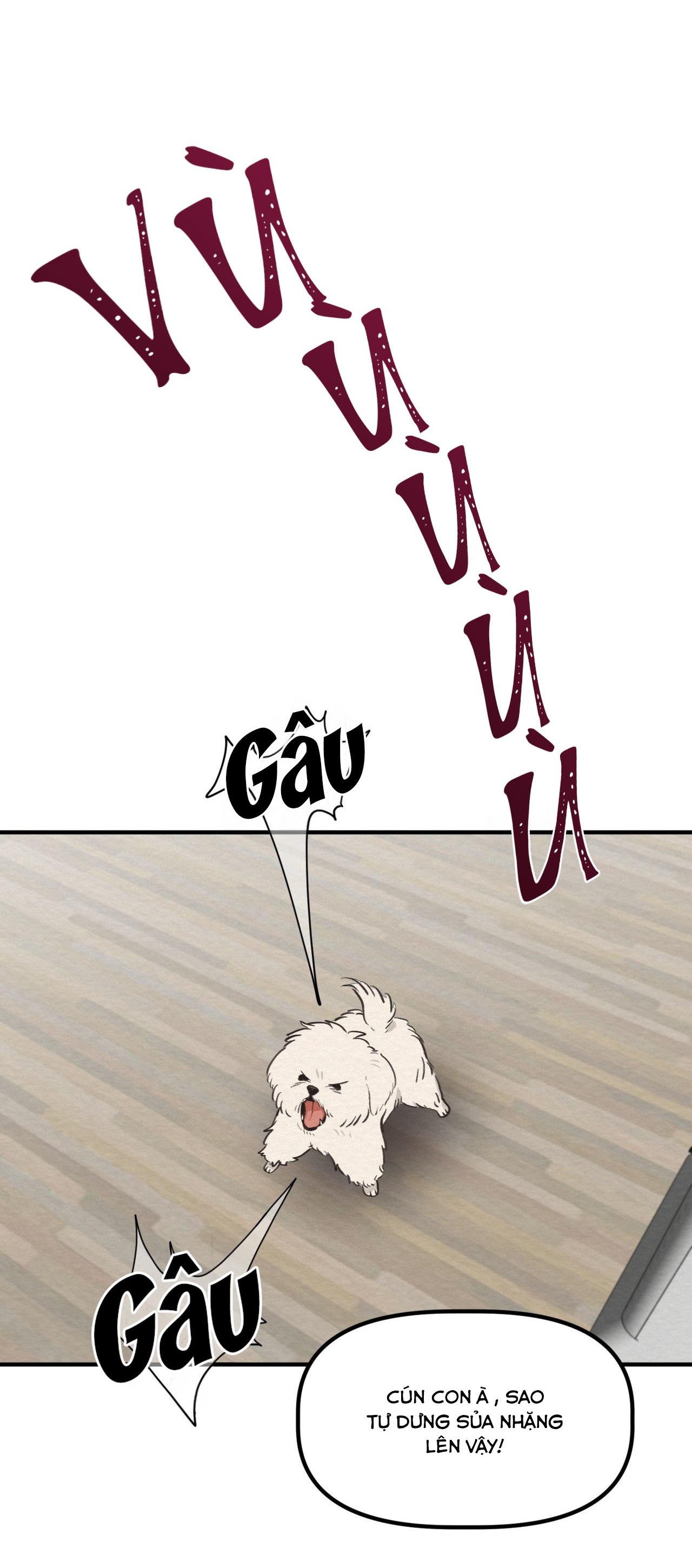(END SS) DEVIL ON TOP Chapter 12 - Trang 2