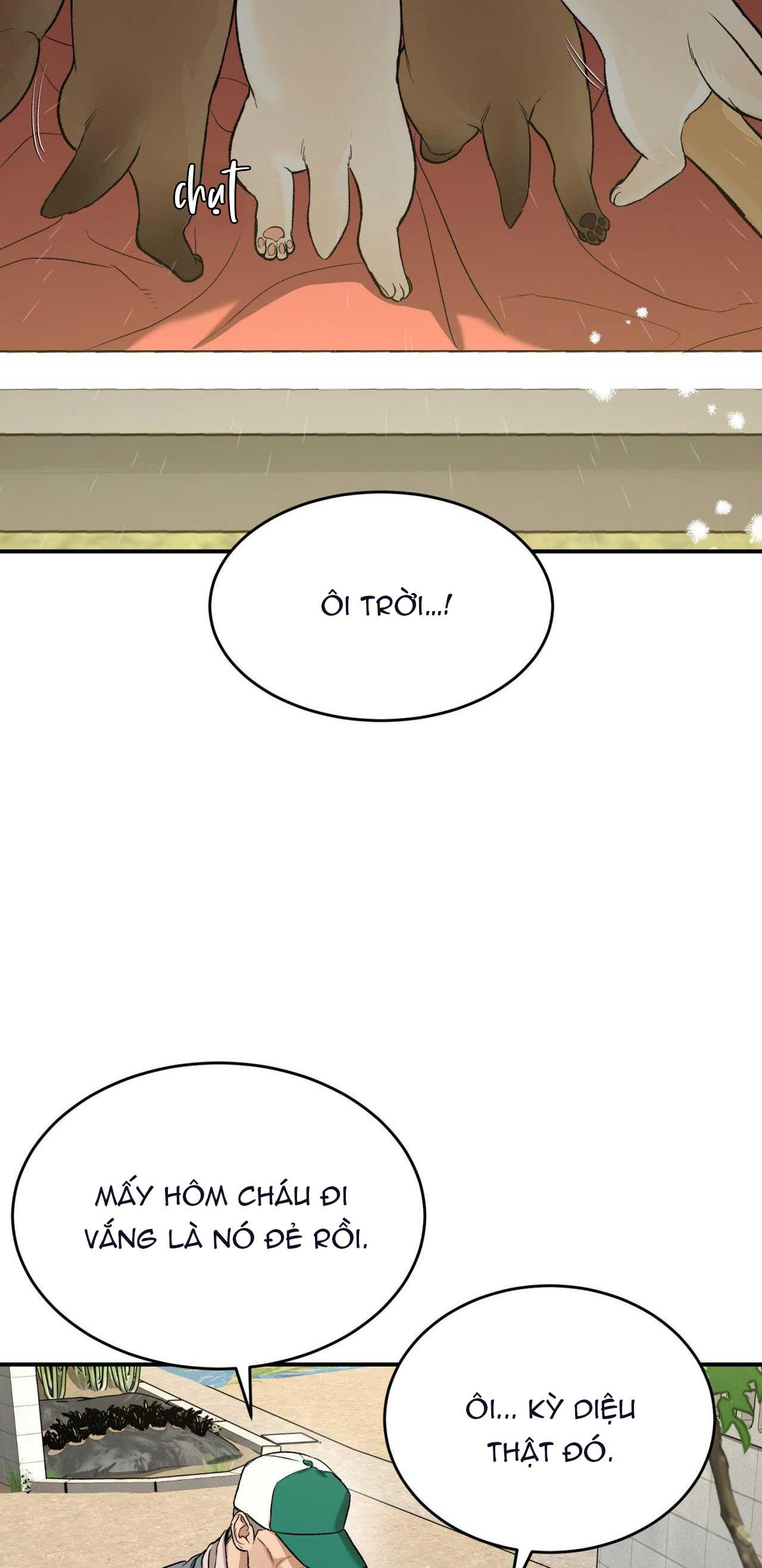 Jinx Chapter 57 (4) - Next Chapter 58 GẶP NHAU