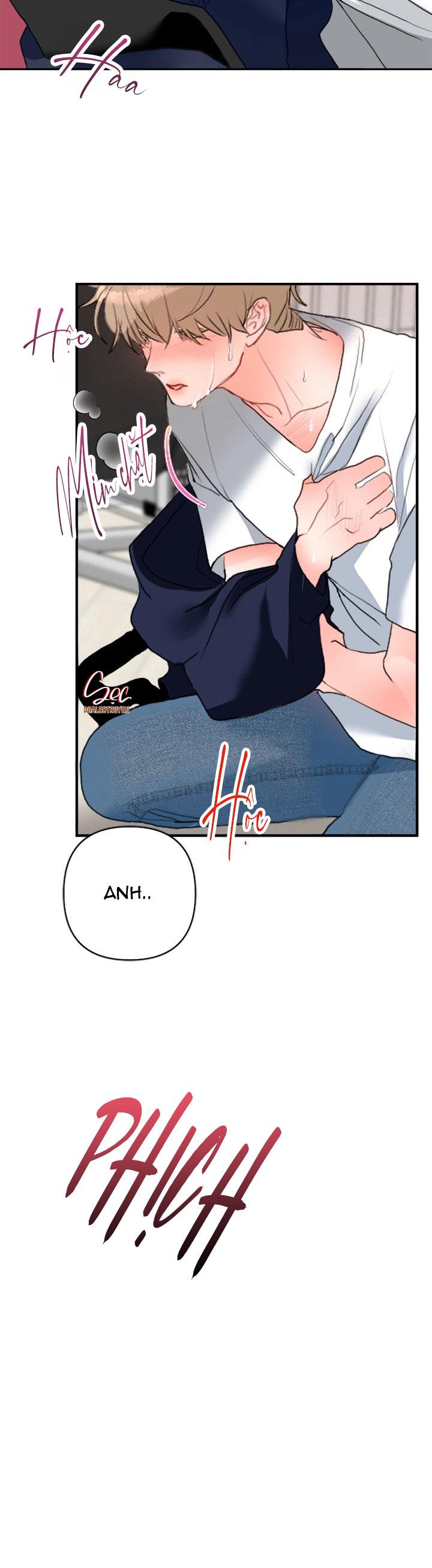 (ABO) OMEGA CỦA ANH TRAI Chapter 1 - Trang 2