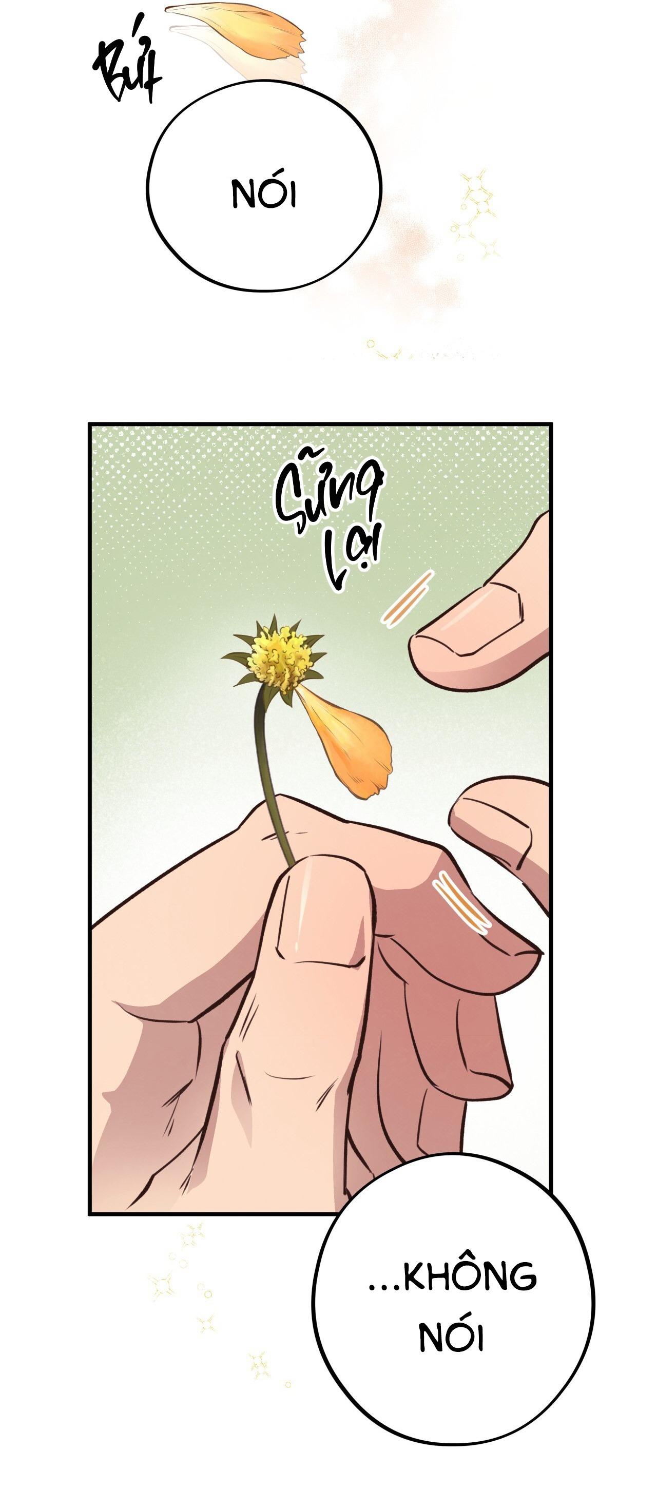 (END) MẬT GẤU Chapter 31 SS2 - Next Chapter 32