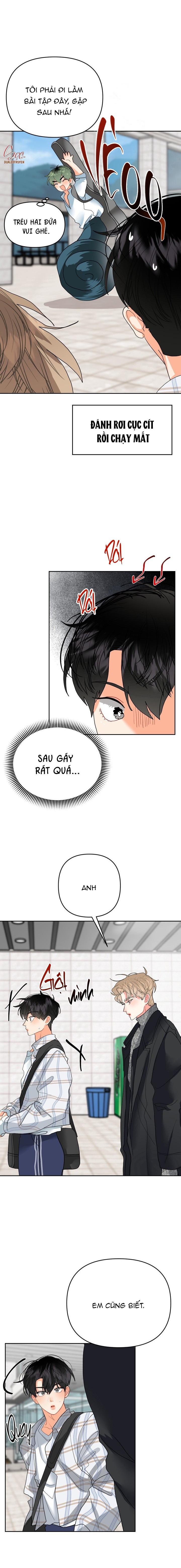 (ABO) OMEGA CỦA ANH TRAI Chapter 9 - Trang 2