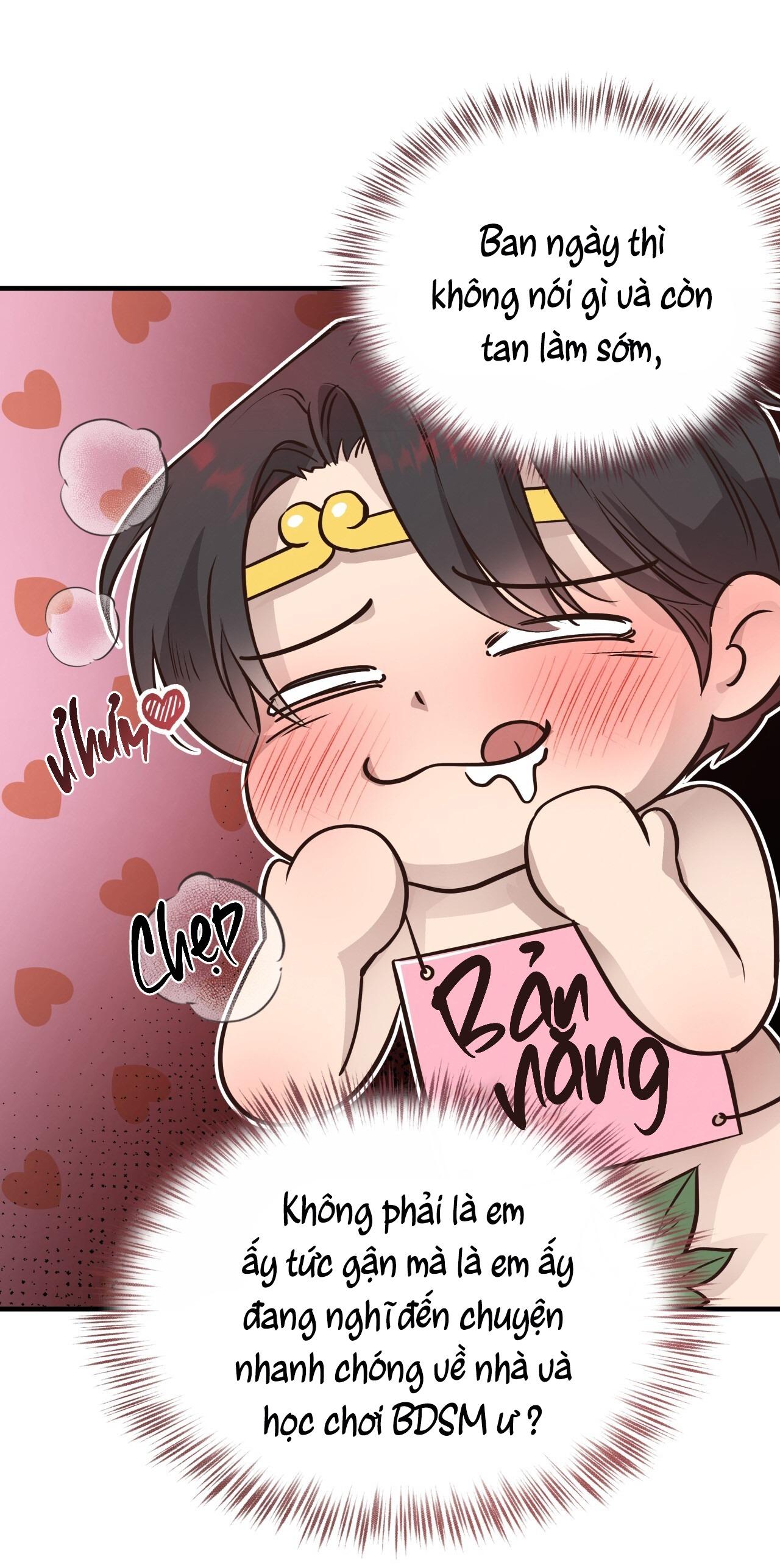(END) MẬT GẤU Chapter 40 - Next Chapter 41