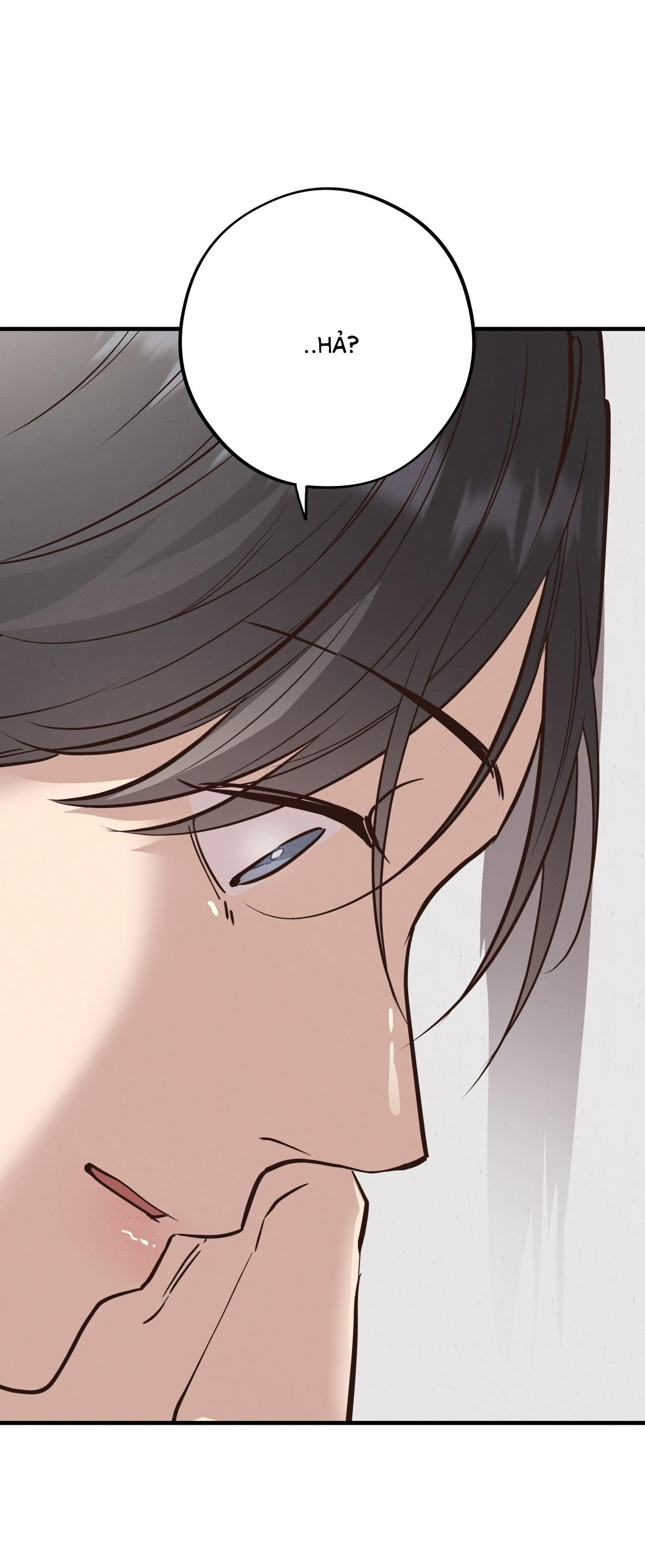 (END) MẬT GẤU Chapter 45 - Next Chapter 46