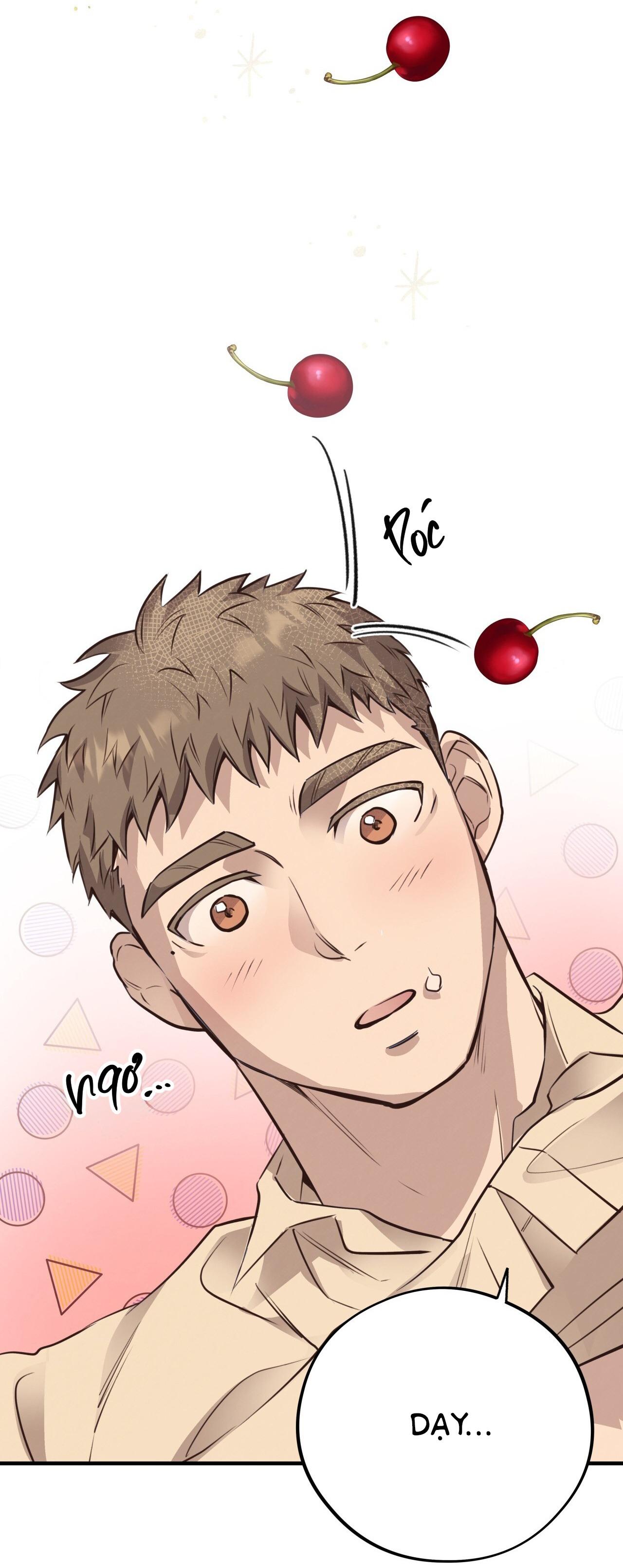 (END) MẬT GẤU Chapter 33 - Next Chapter 34